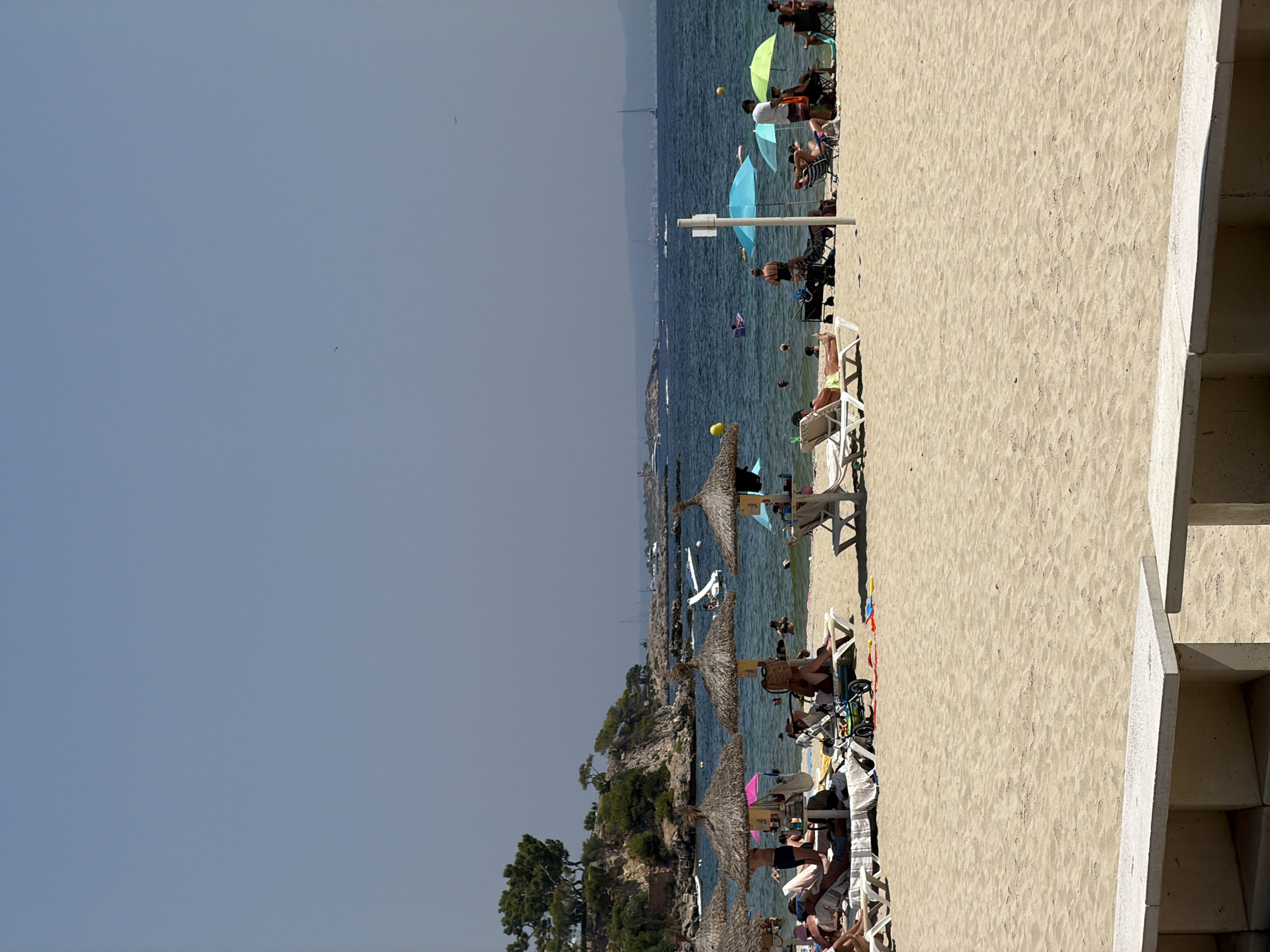 Palmanova beach day: sun, palms, hibiscus, and a Defender