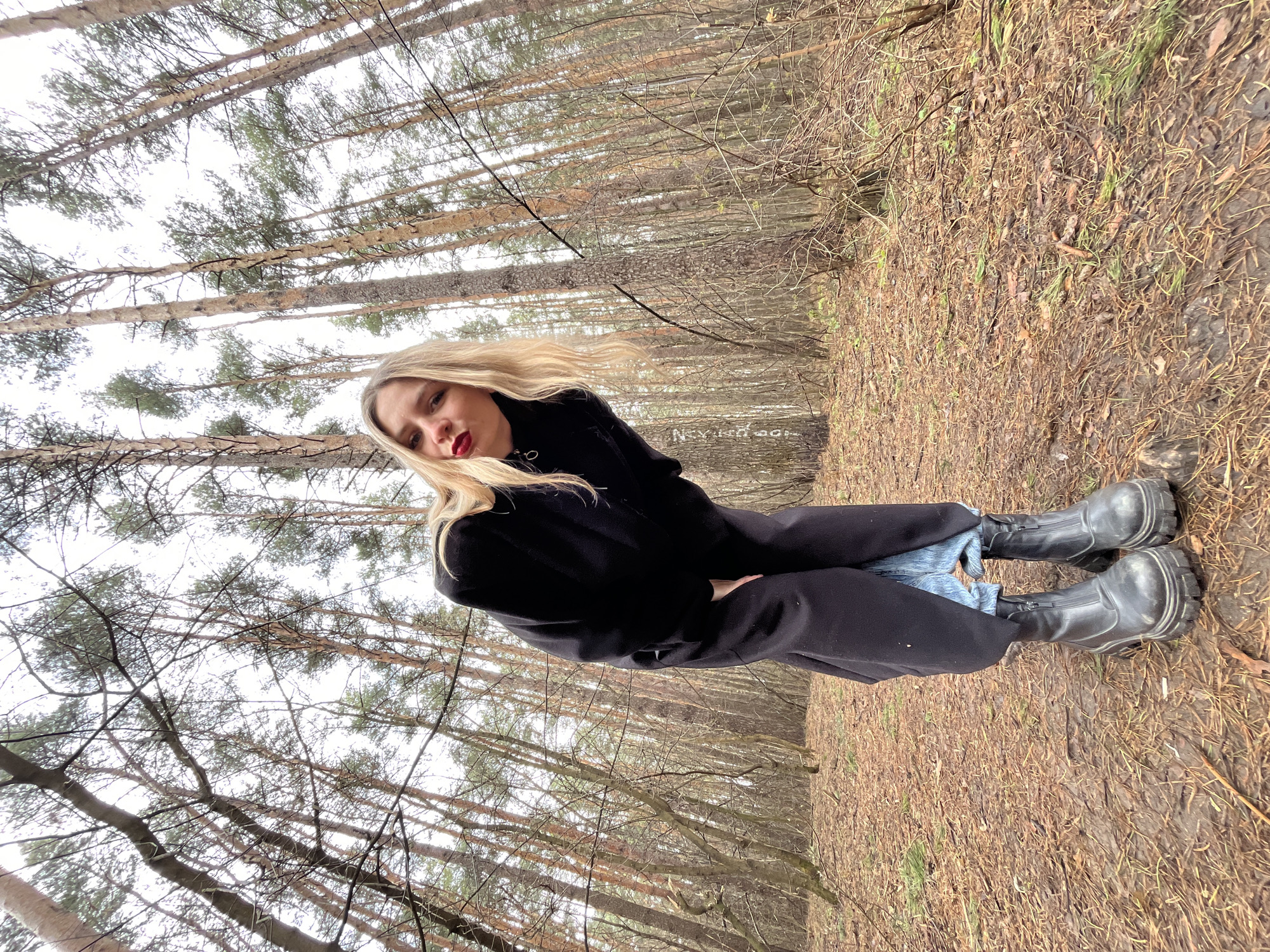 Morning scenes captured in Chaikovsky: forest, photographer, card display