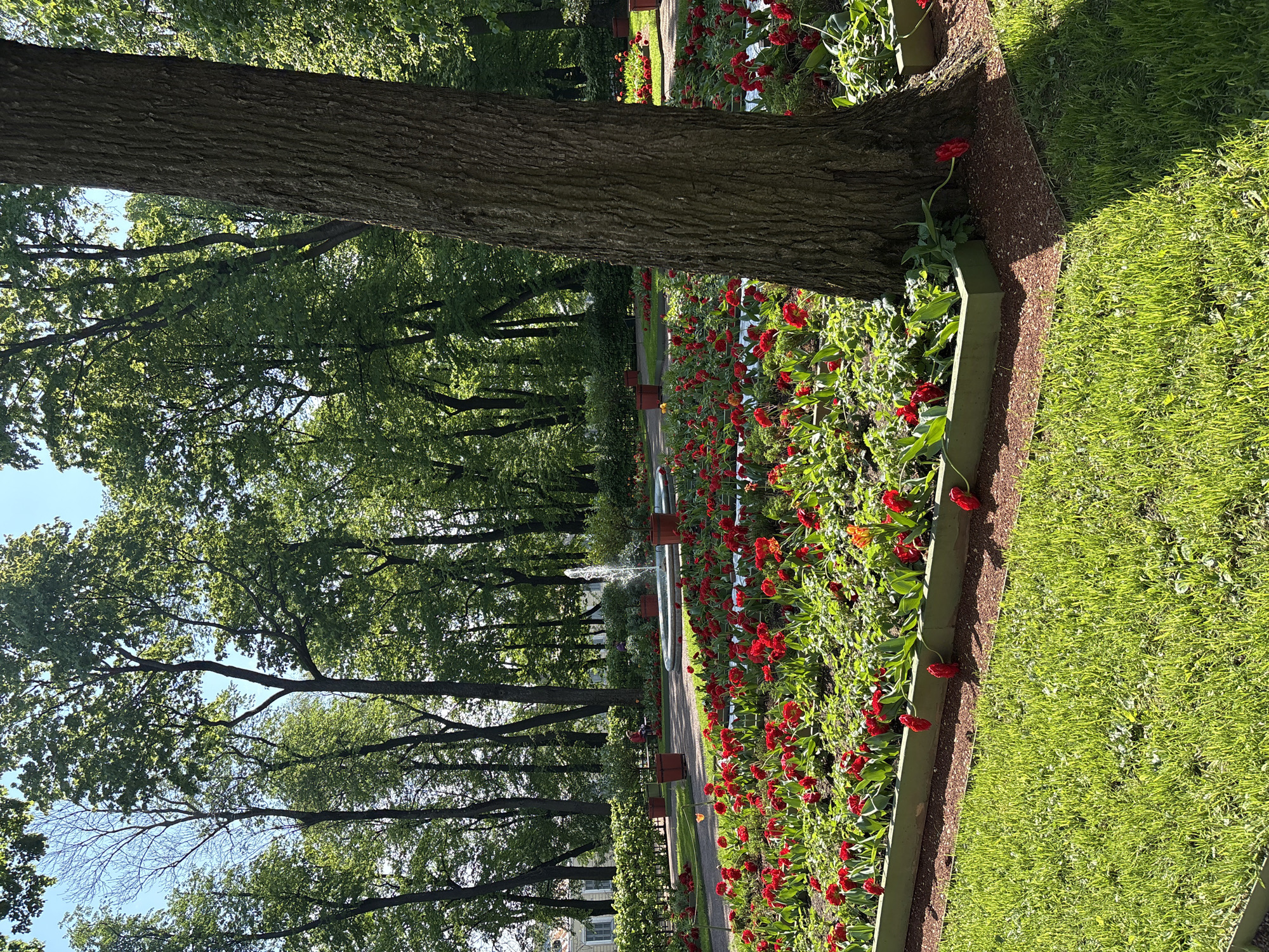 Morning park walk captures wedding, gardens in Saint Petersburg