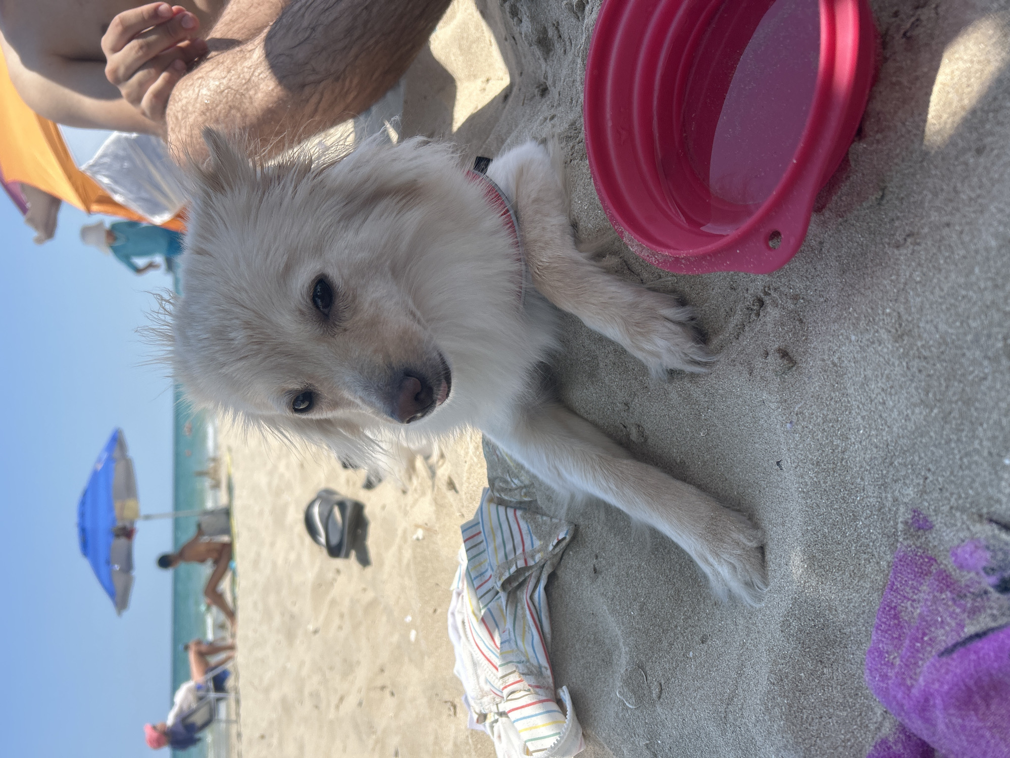 Lazy summer morning on the beach in Primorsko, Bulgaria