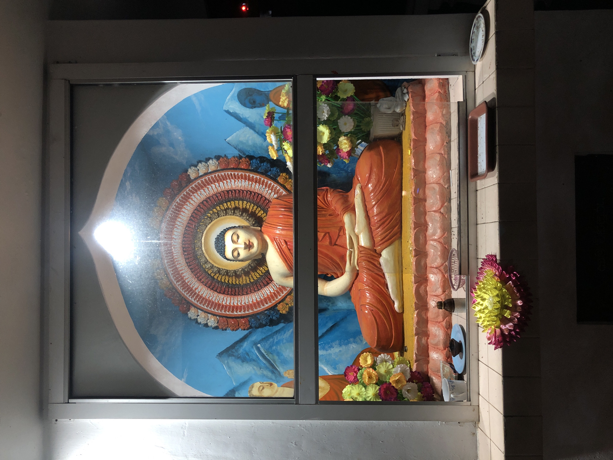 Buddha statues documented at Sri Lankan religious shrines