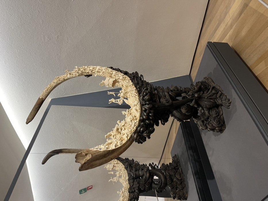 Evening museum visit captures art and architecture in Mexico City
