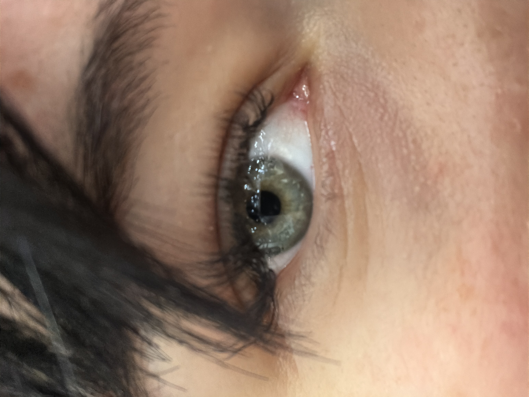 Close-up macro eye photography in Plovdiv, Bulgaria