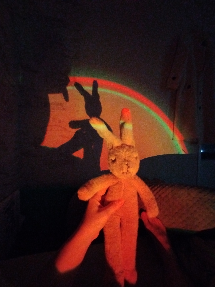Rainbow-lit photo session with stuffed rabbit in Chaikovsky
