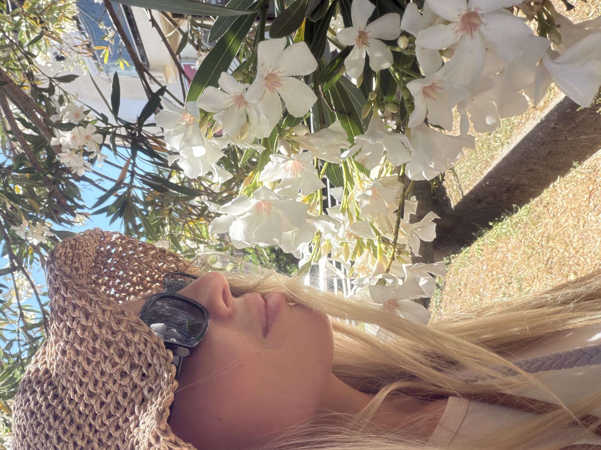 Lazy summer afternoon in Budva — smoothies, figs, and a dog in tow