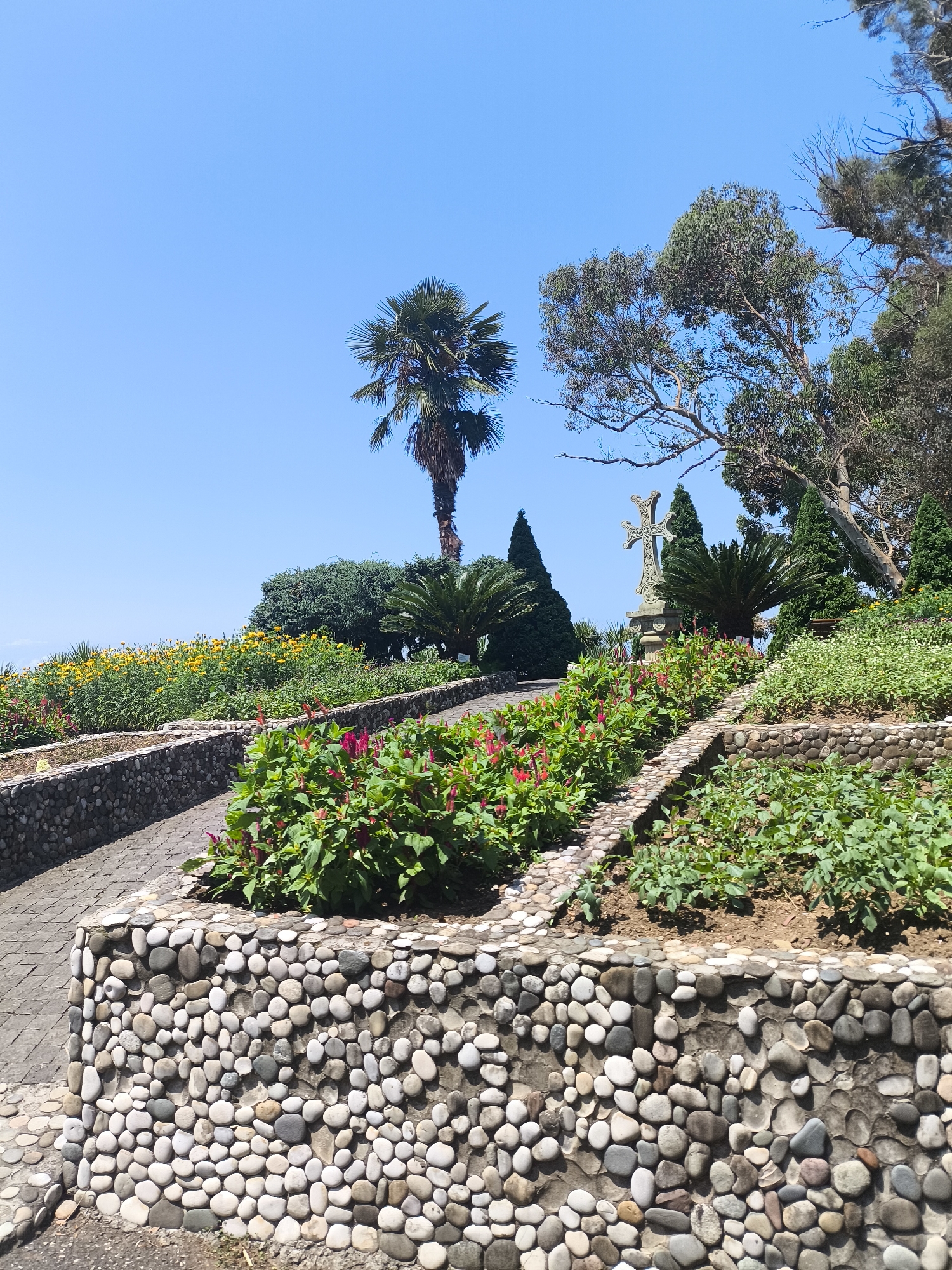 Lush garden paths and flowering terraces in Batumi