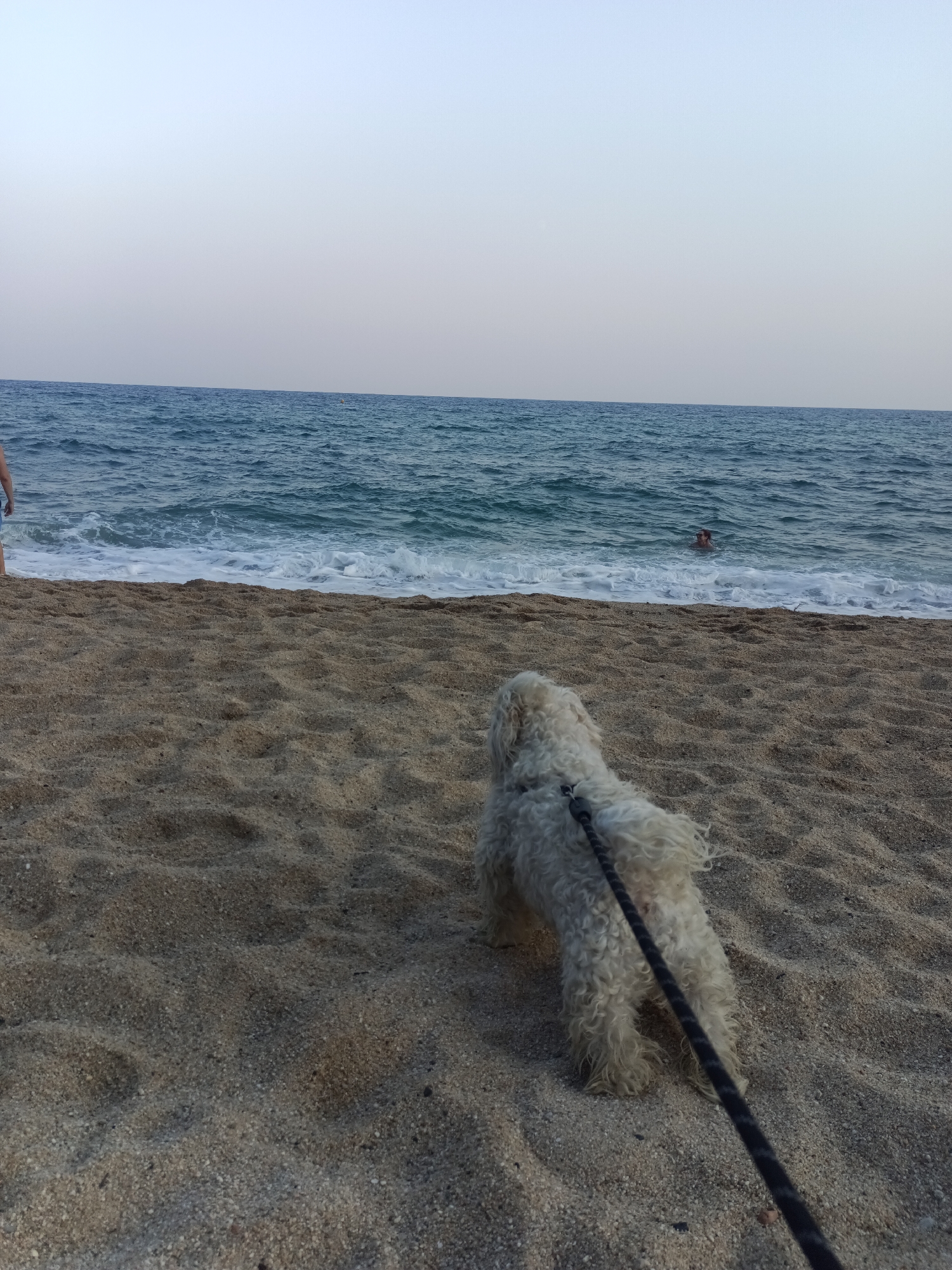 Premià de Mar, Spain