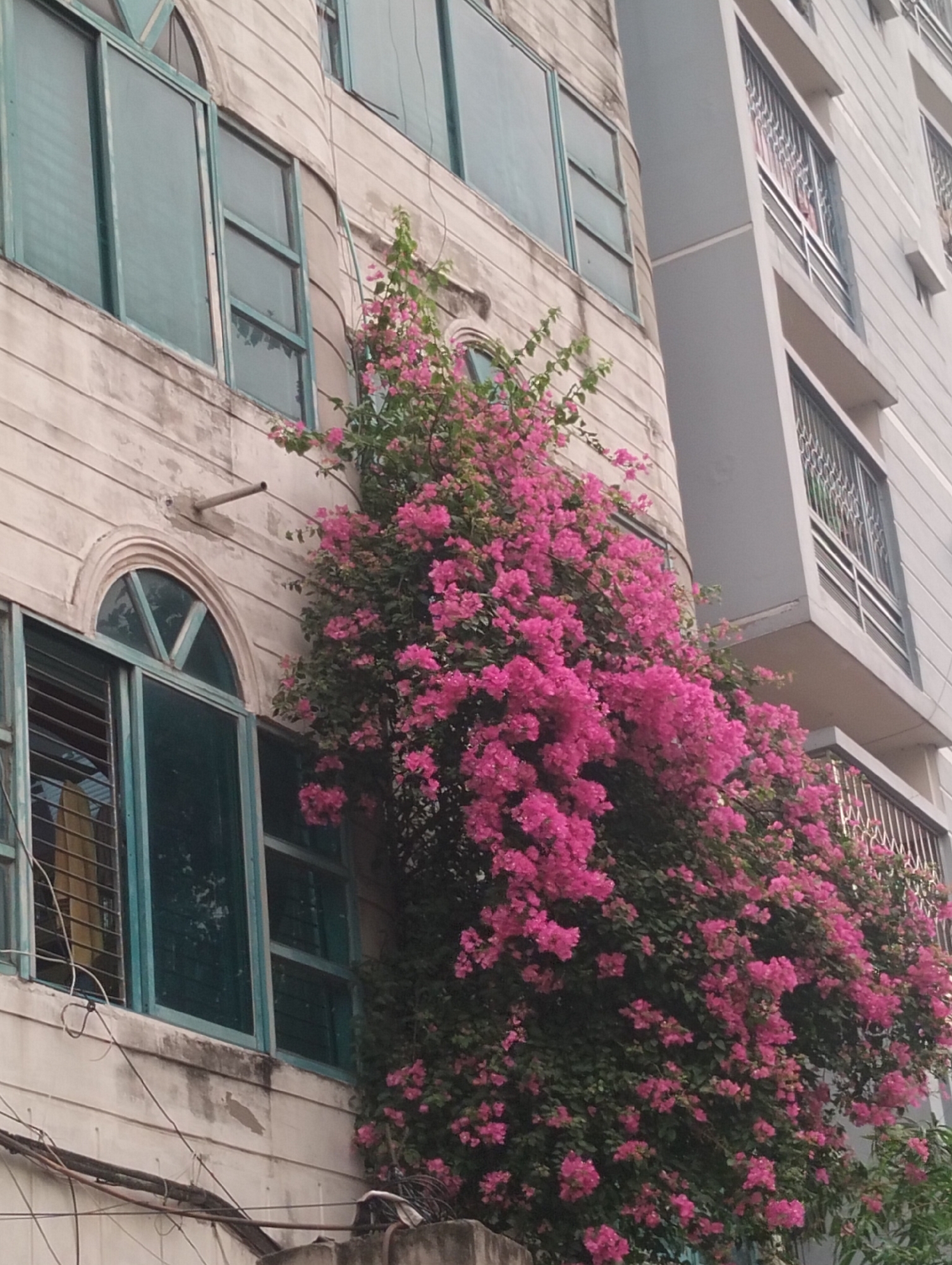 Ordinary street life documented across Dhaka during overcast afternoon
