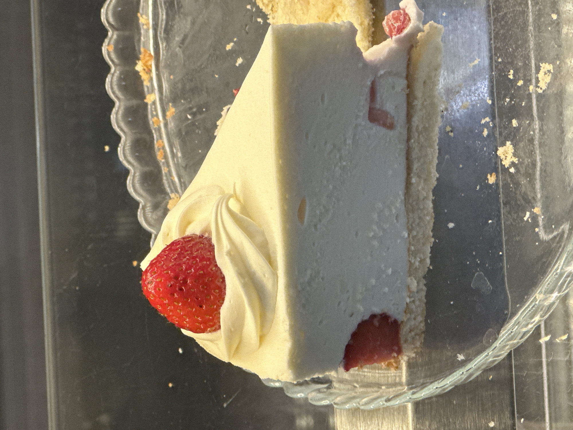 Witness captures everyday moments: desserts, flowers, street scenes