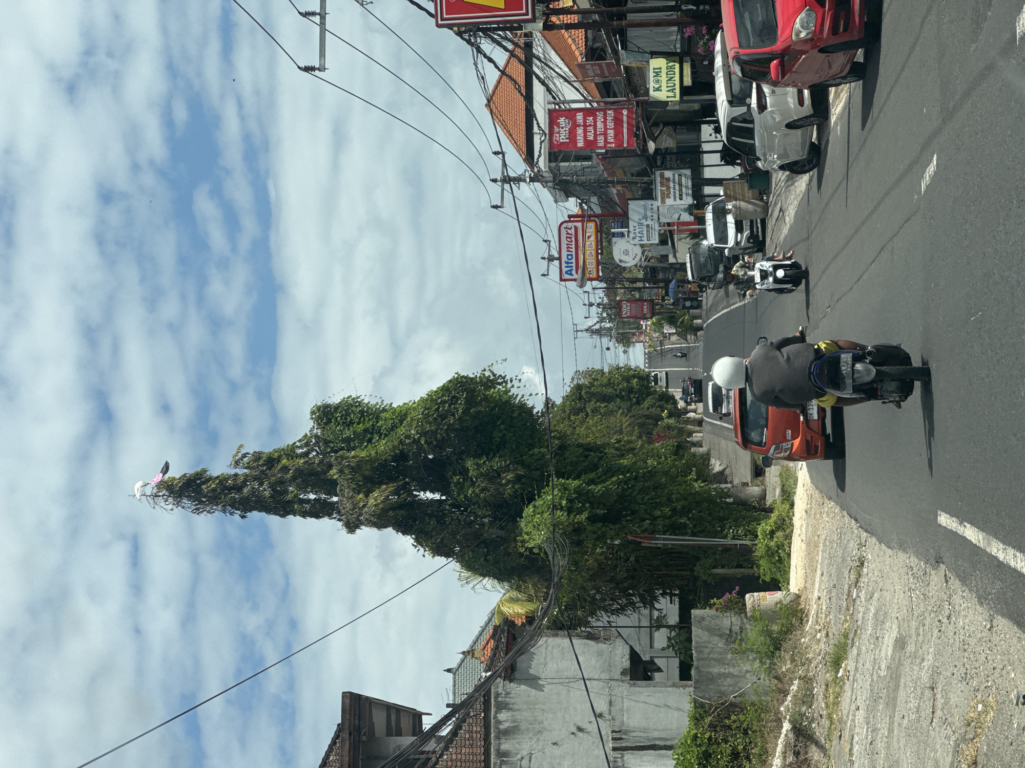 Roadside scenes in Kuta Selatan, statue atop an overgrown tree