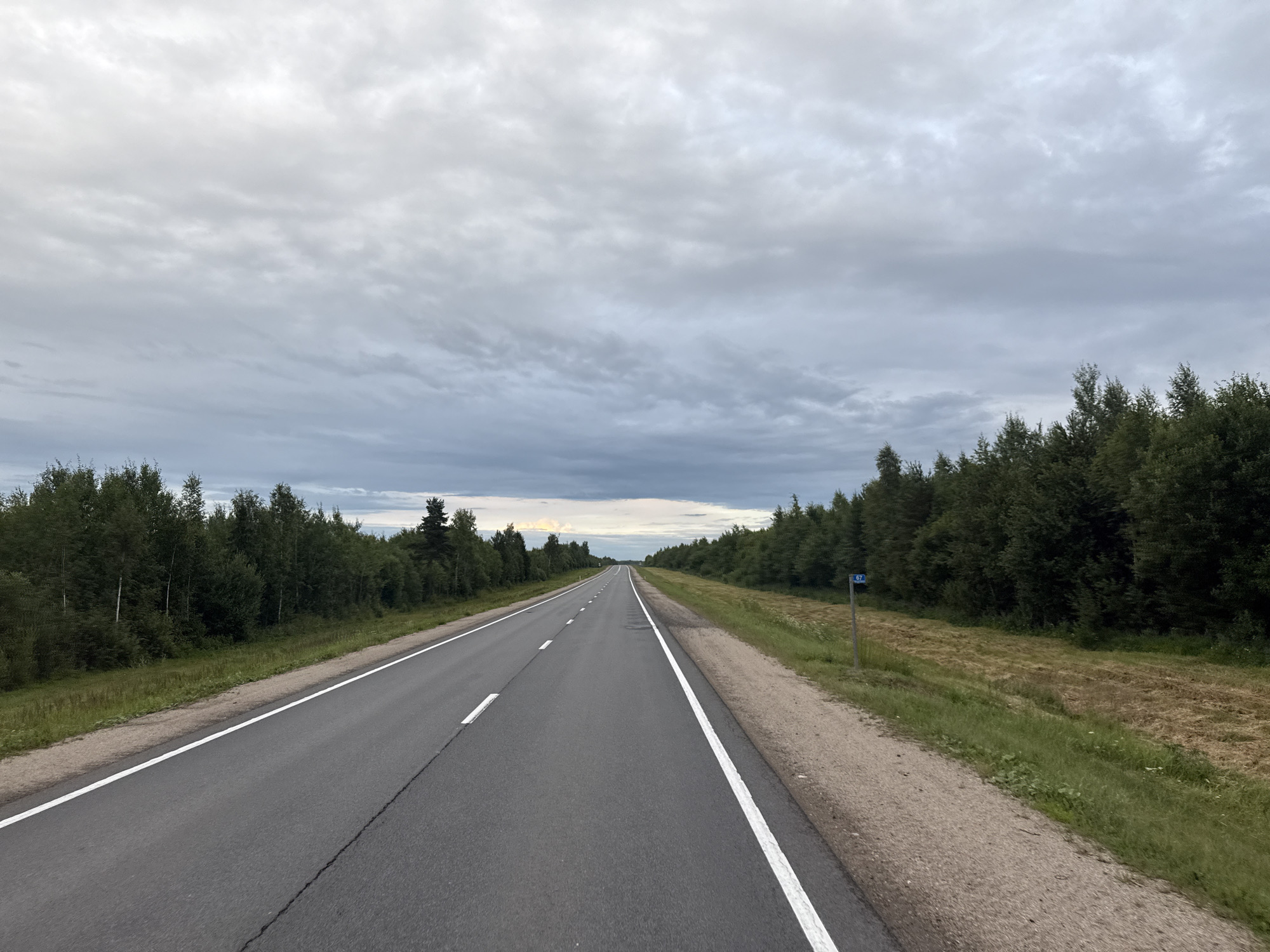 Forest road stretches into the distance outside Babanovo