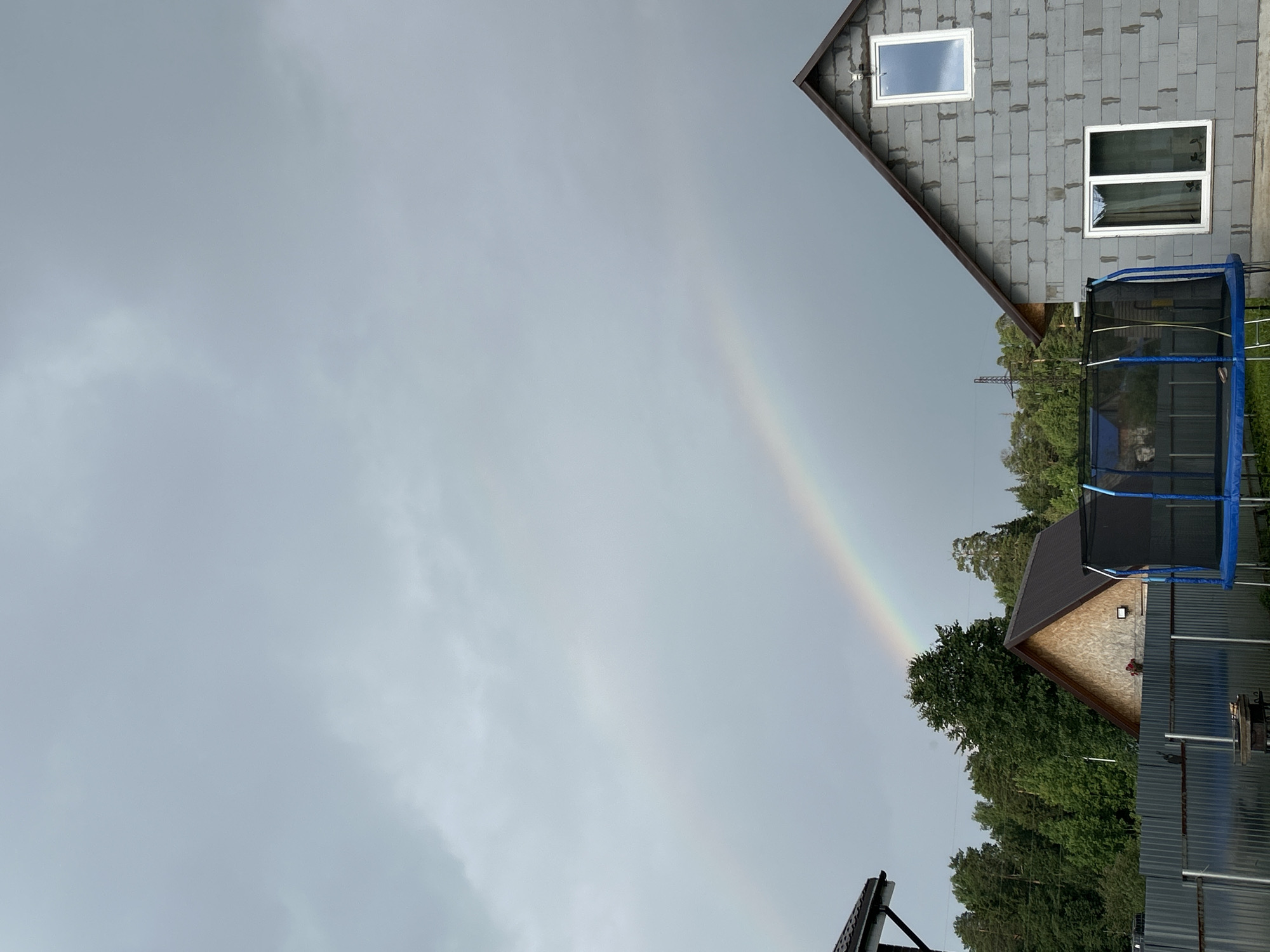 Rainbow afternoon in Chaikovsky with selfies and wandering cat
