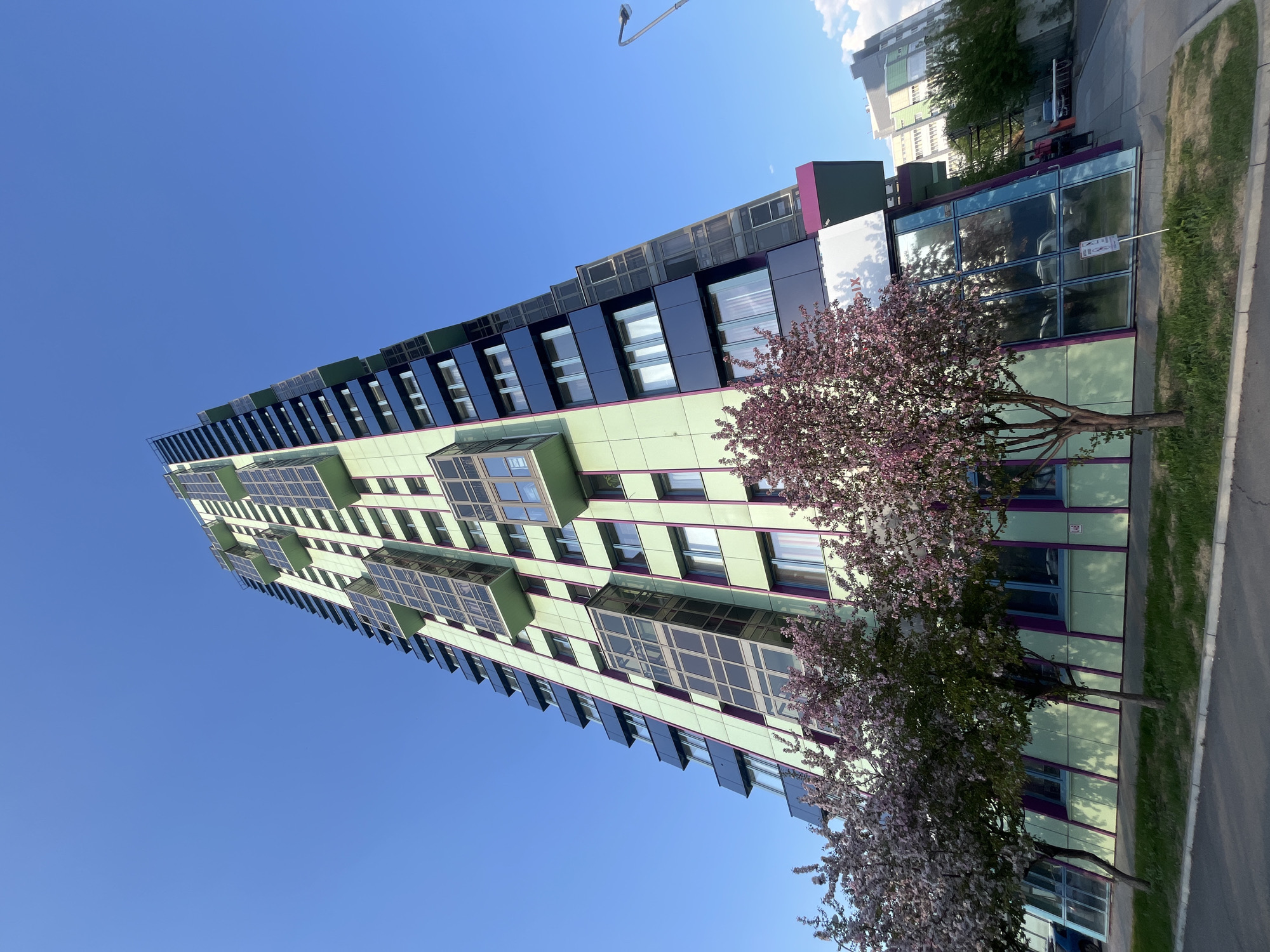 Modern green-purple building observed with blooming tree in Krasnoyarsk