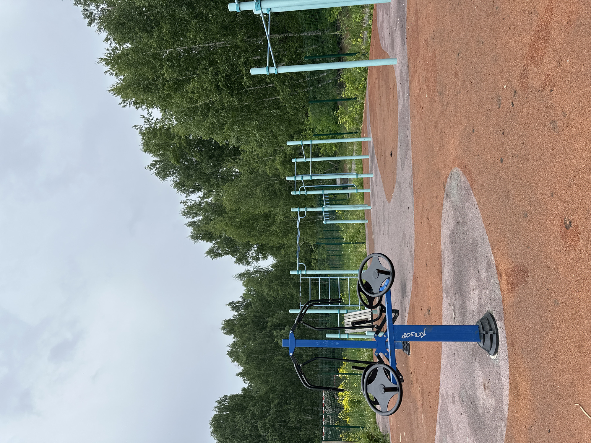 Morning walk through overcast waterfront park captures wildlife, fitness areas