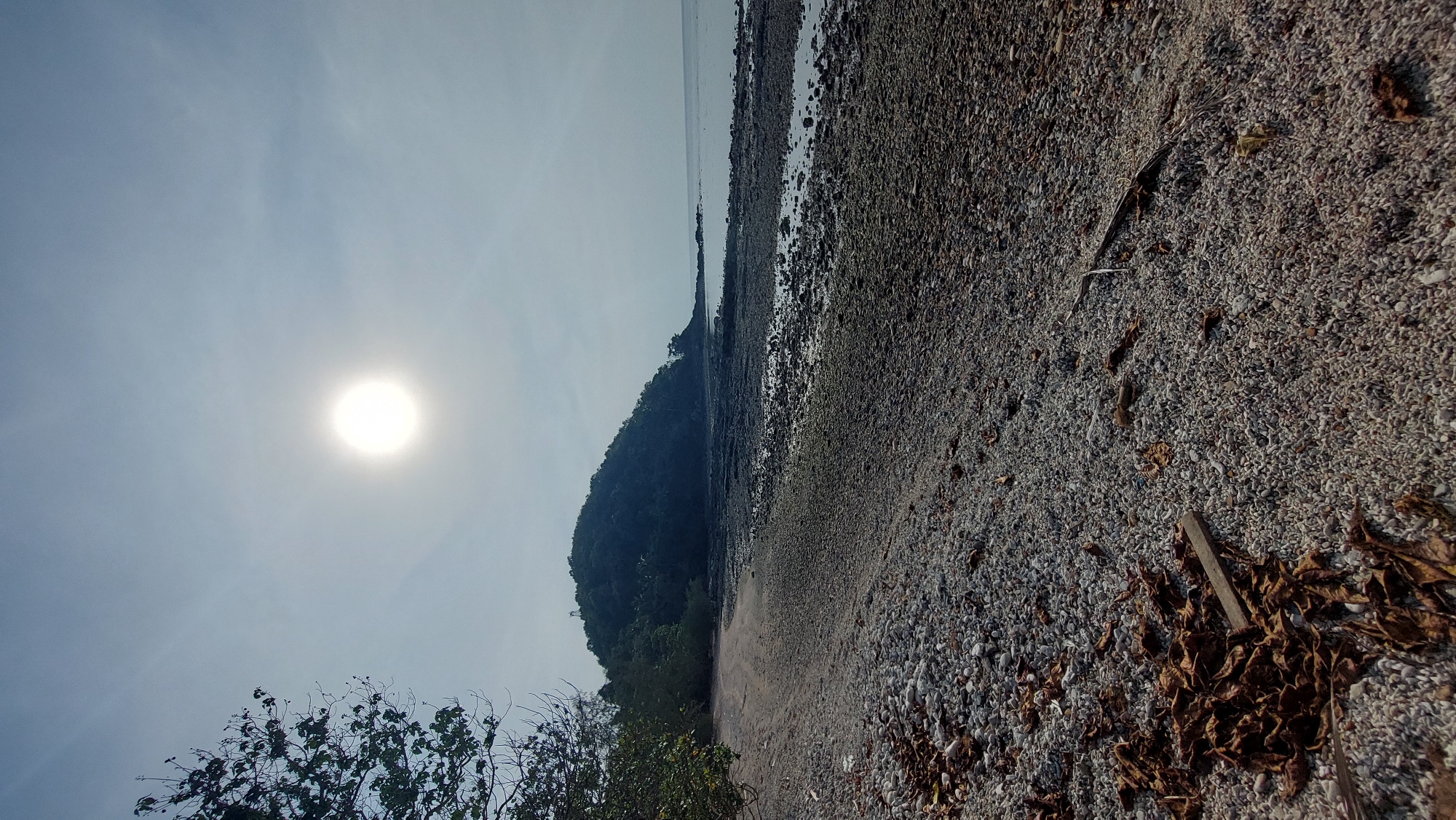 Coastal observer documents pebbled beach with scattered leaves