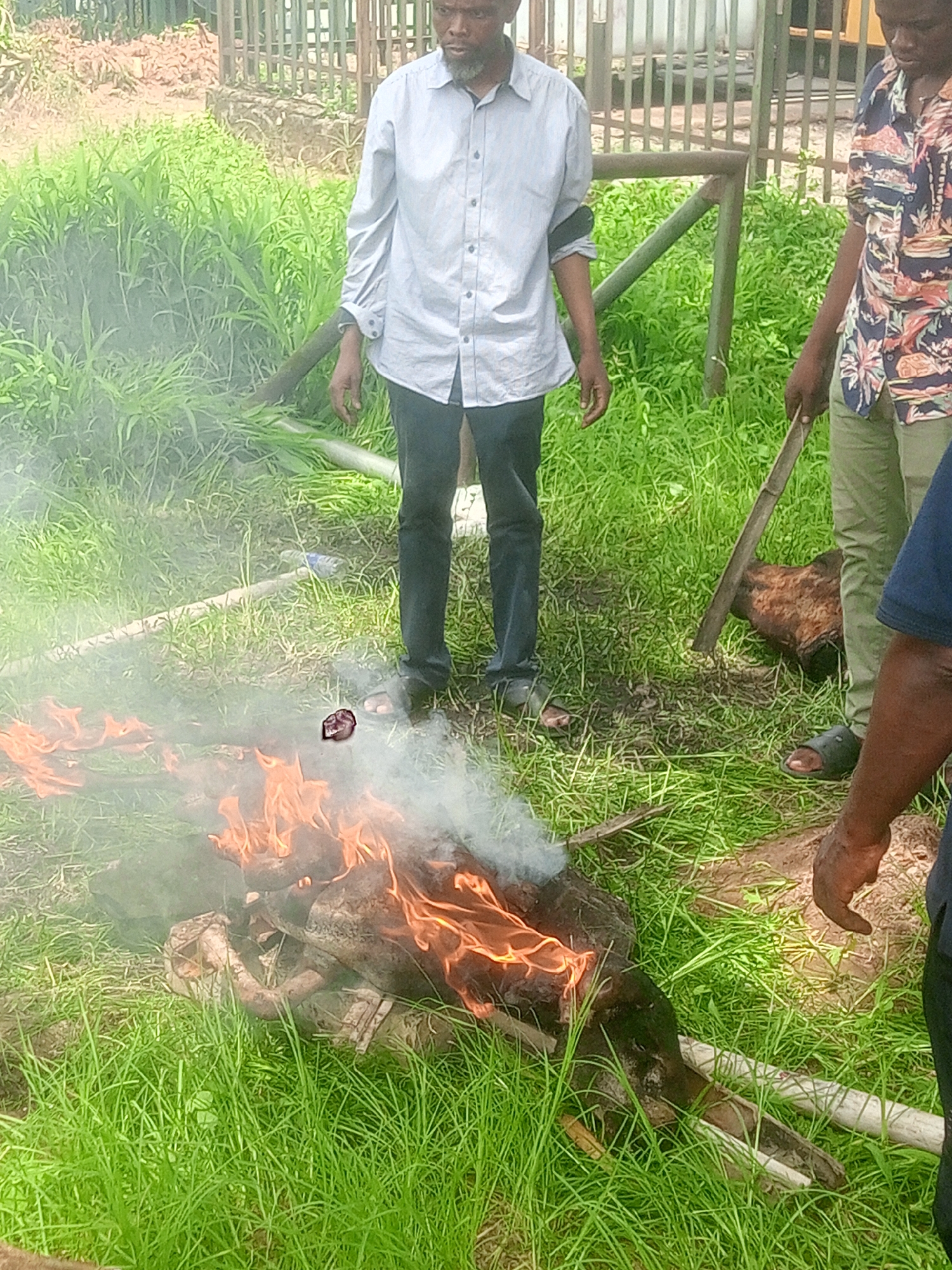 Morning domestic life documented in Gwarinpa, Nigeria