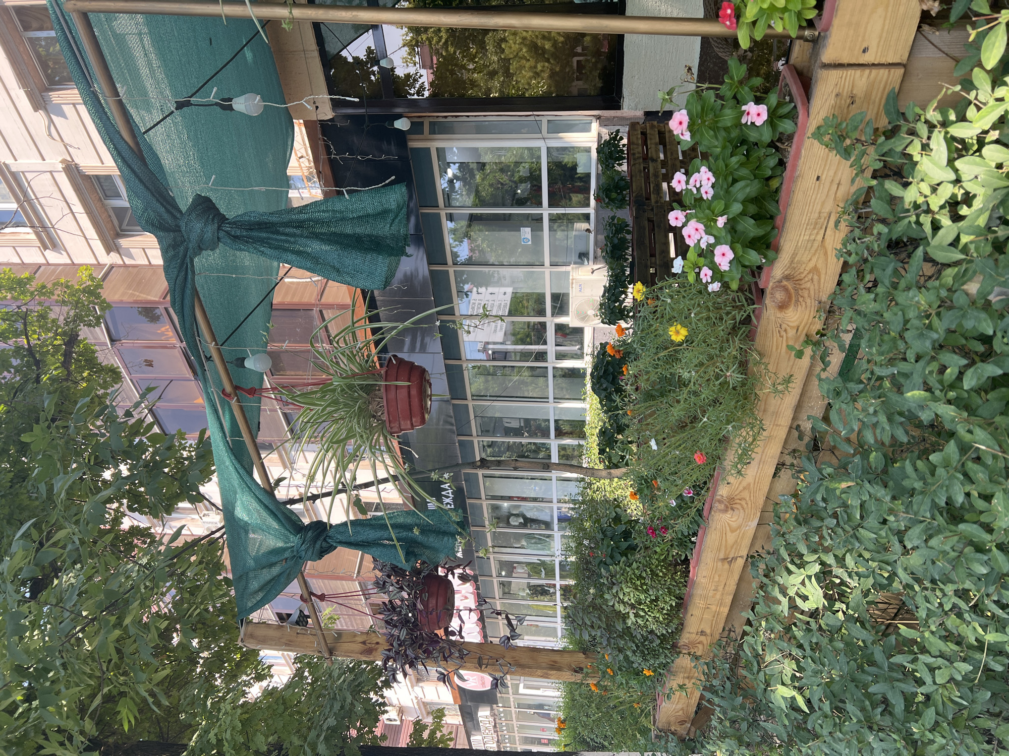 Shymkent storefronts and street-level greenery, July morning