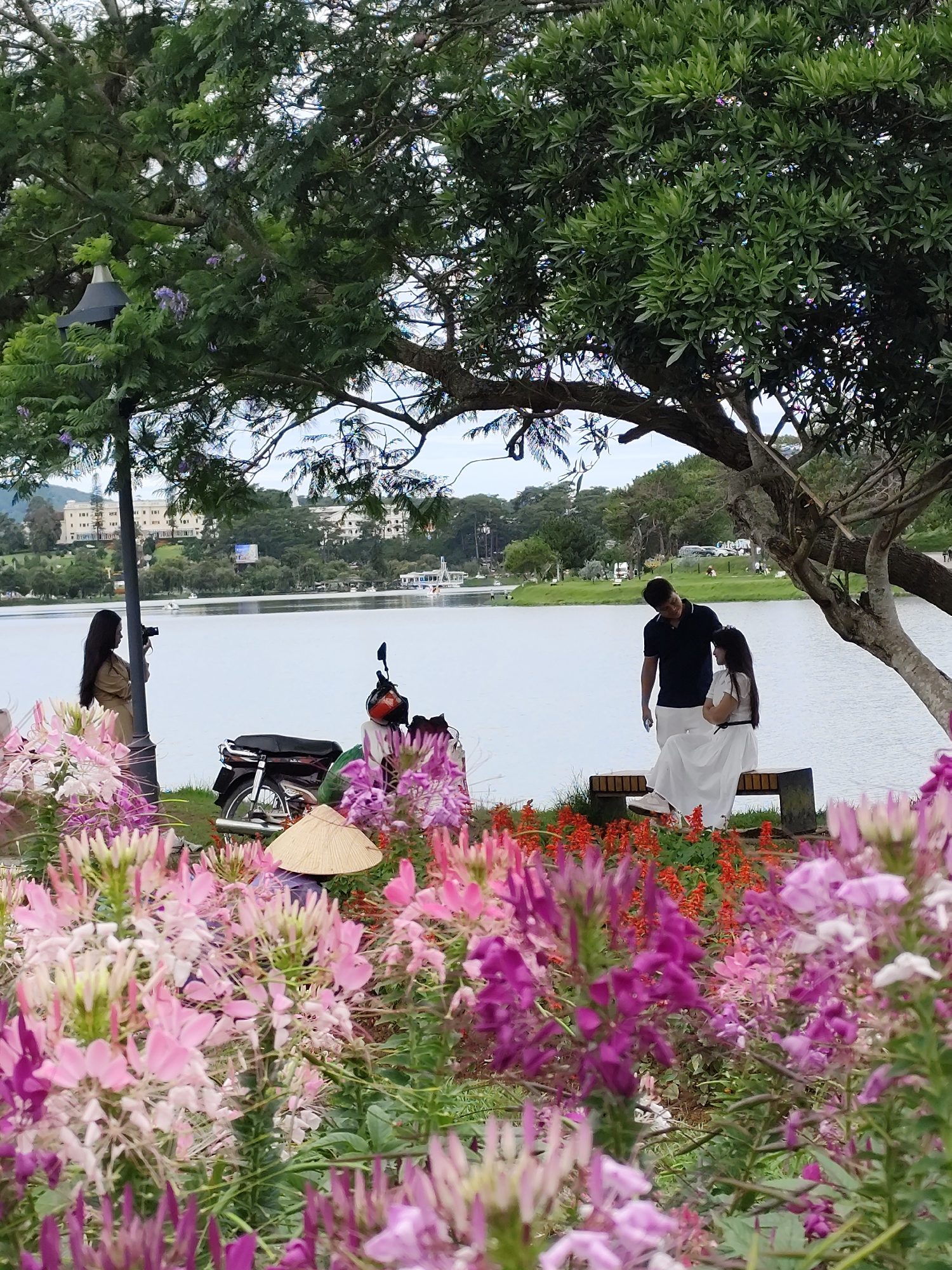 Early morning scenes captured around Da Lat's Ho Xuan Huong Lake