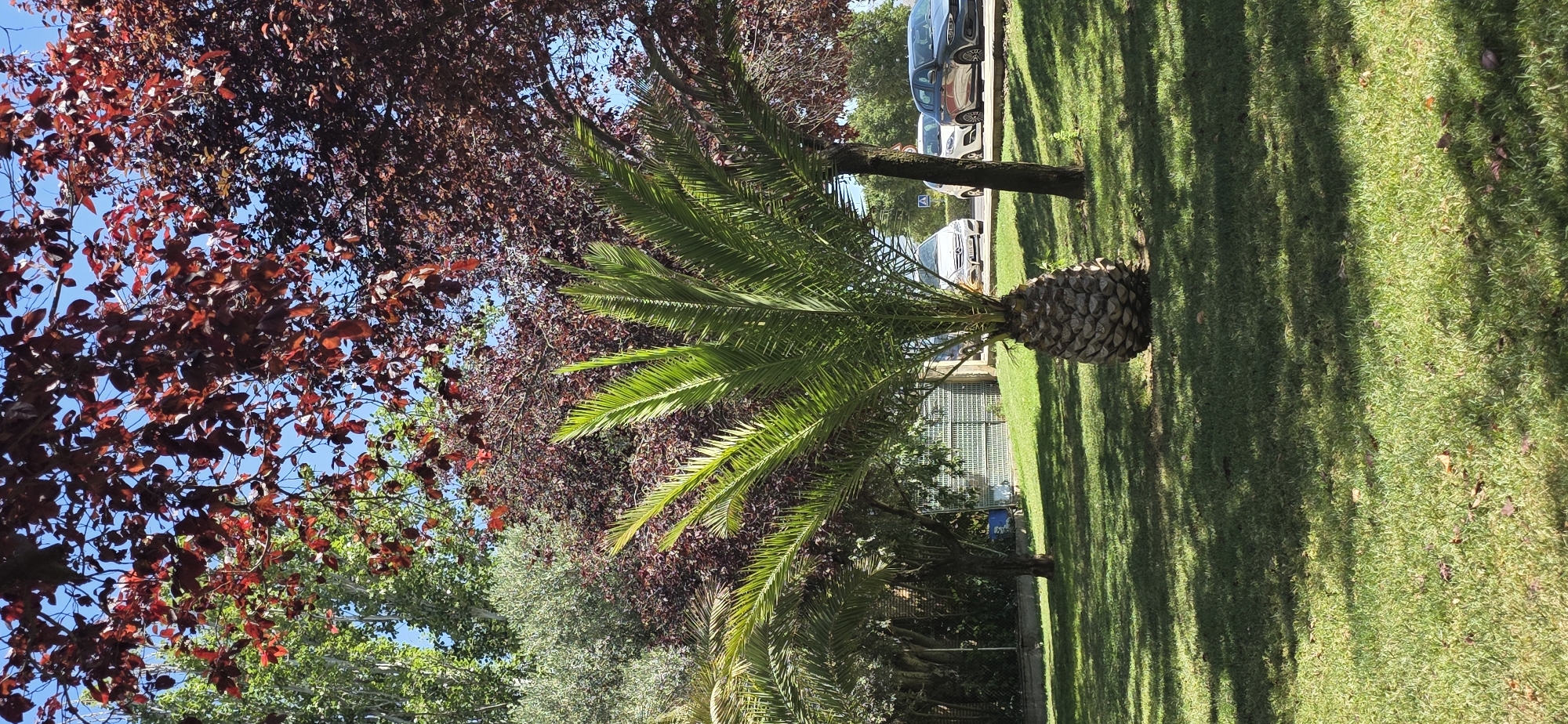 Morning stroll through Huesca's streets, parks, and public art