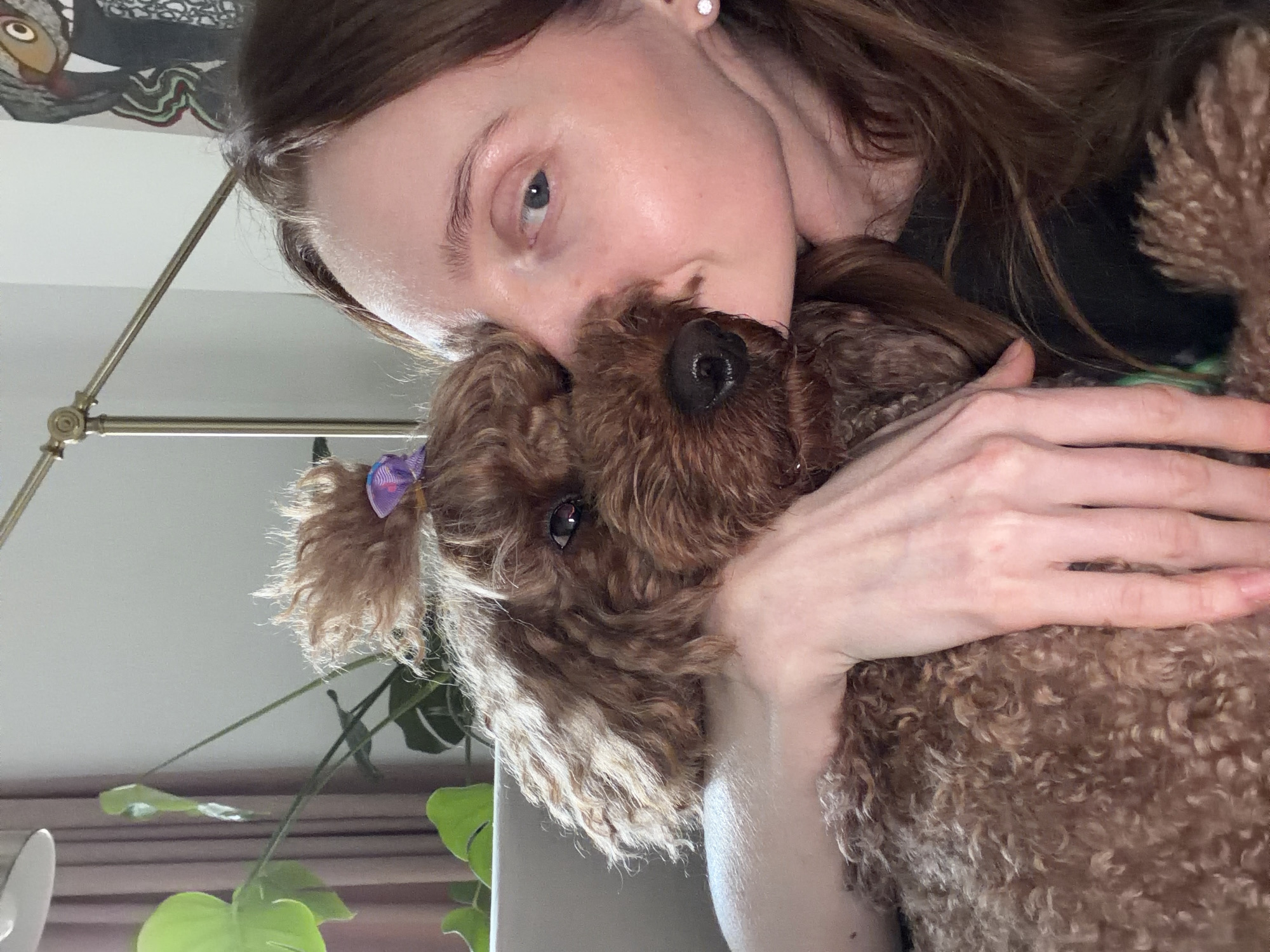 Woman enjoys quiet afternoon at home with poodle and cat