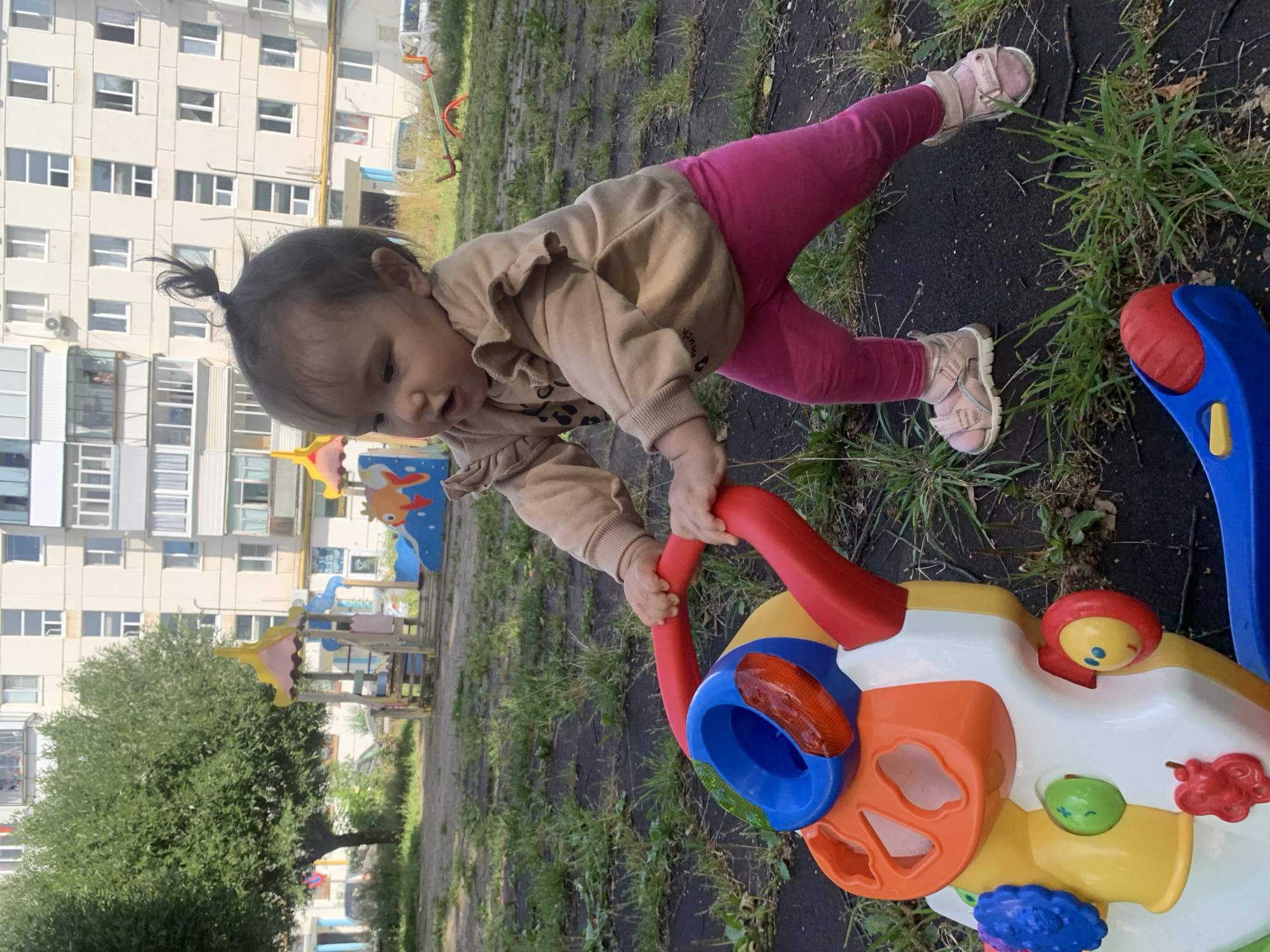 Summer Sunday in Chaikovsky: pigeons, park walks, and beach volleyball