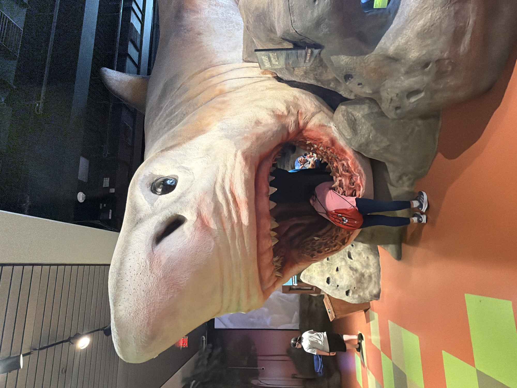 Afternoon at Fort Lauderdale's Museum of Discovery and Science
