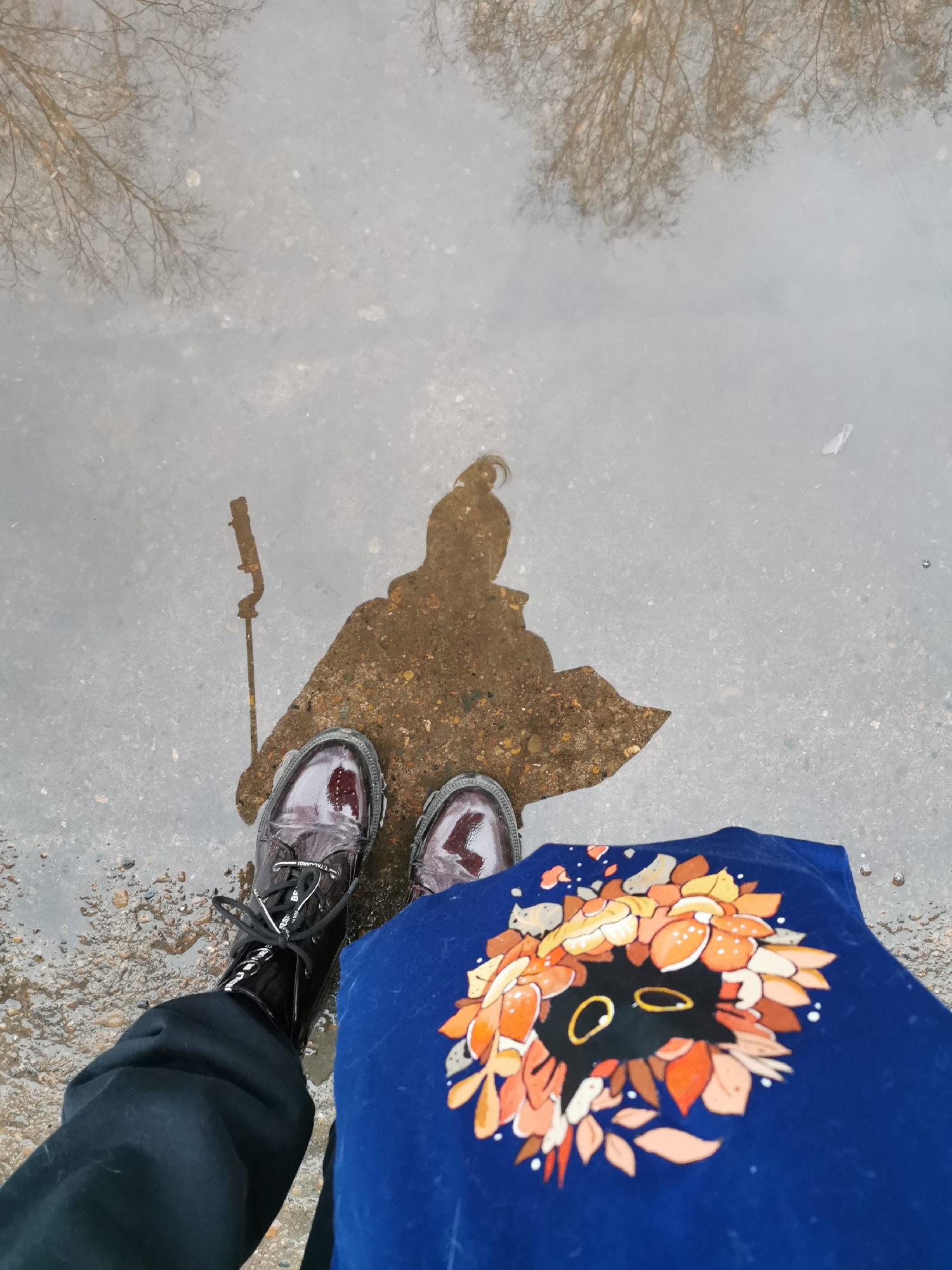 Puddle reflections, perfume bottle, and playful cat captured Sunday afternoon