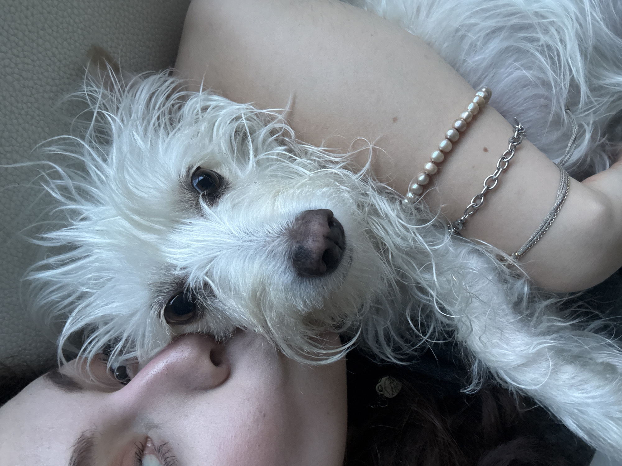 Woman bonds with small white dog in Mexican town