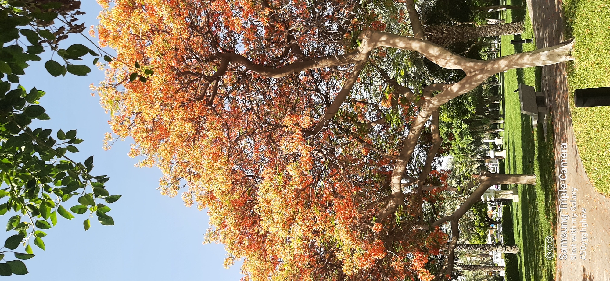 Early morning Dubai residential scenes documented by single witness