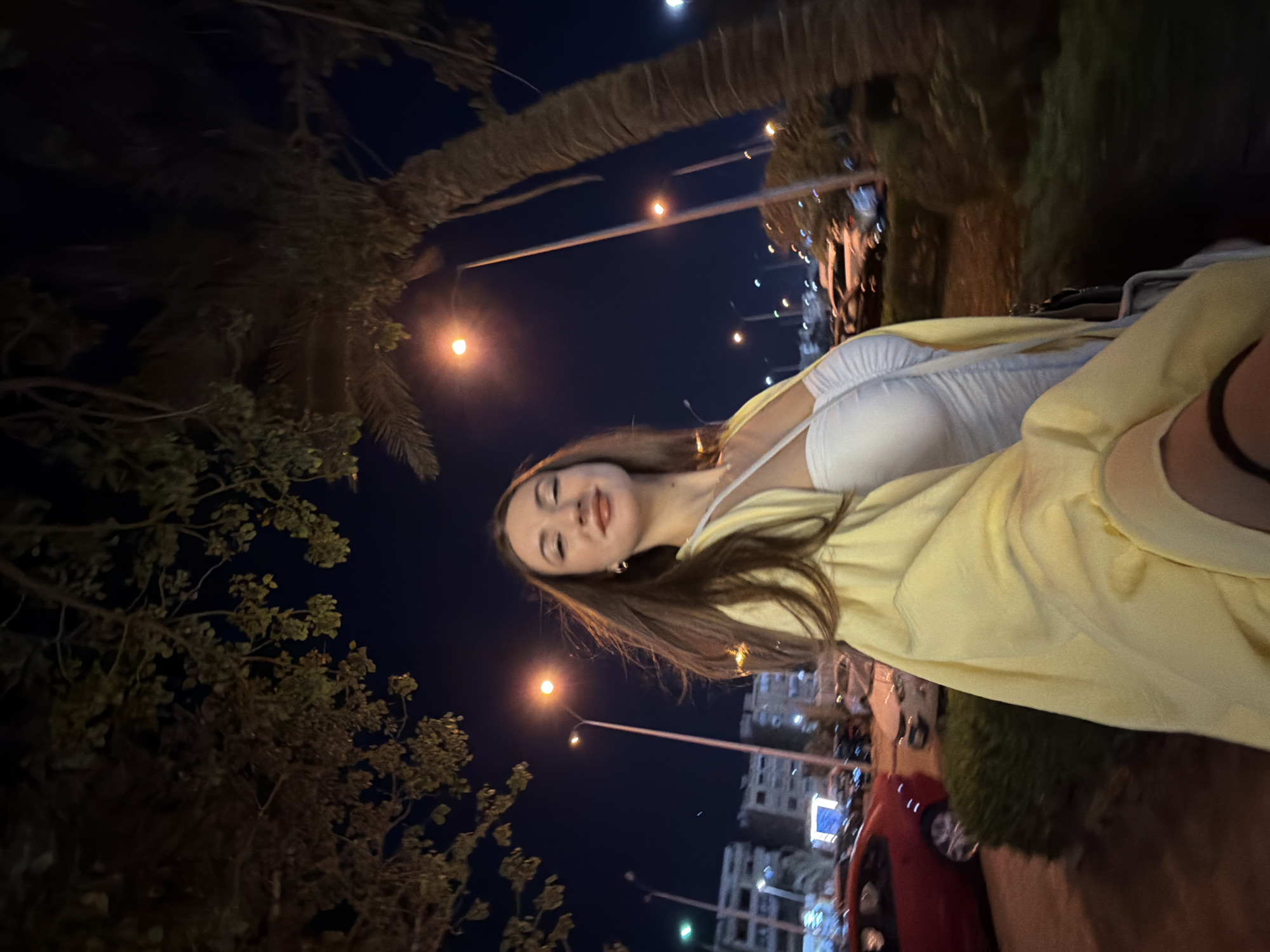 Safari-themed birthday party in a 6th of October City park, evening