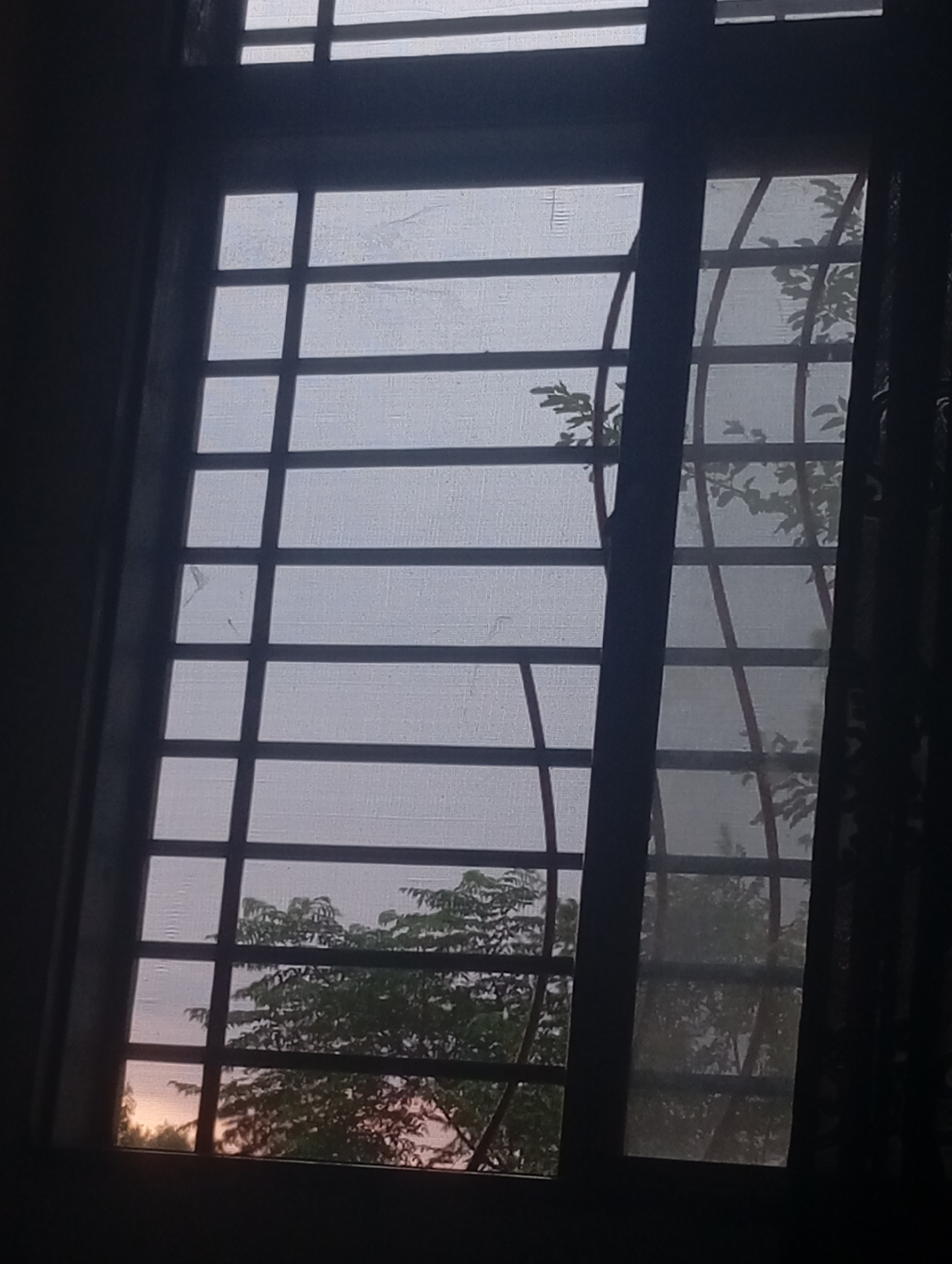 Storm clouds and sunbreaks over a tree-lined horizon