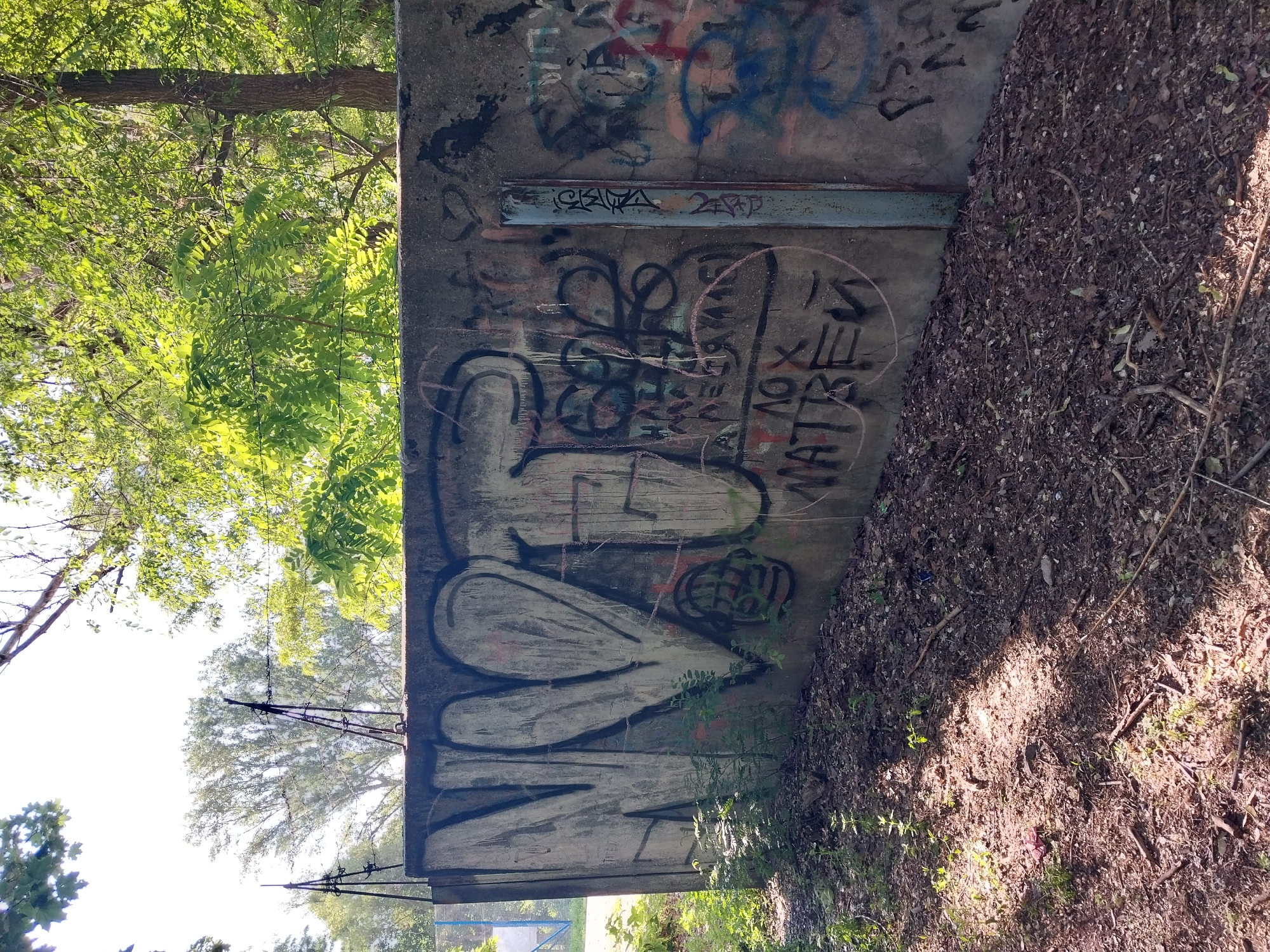 Morning nature walk documented through parks in Dnipro, Ukraine