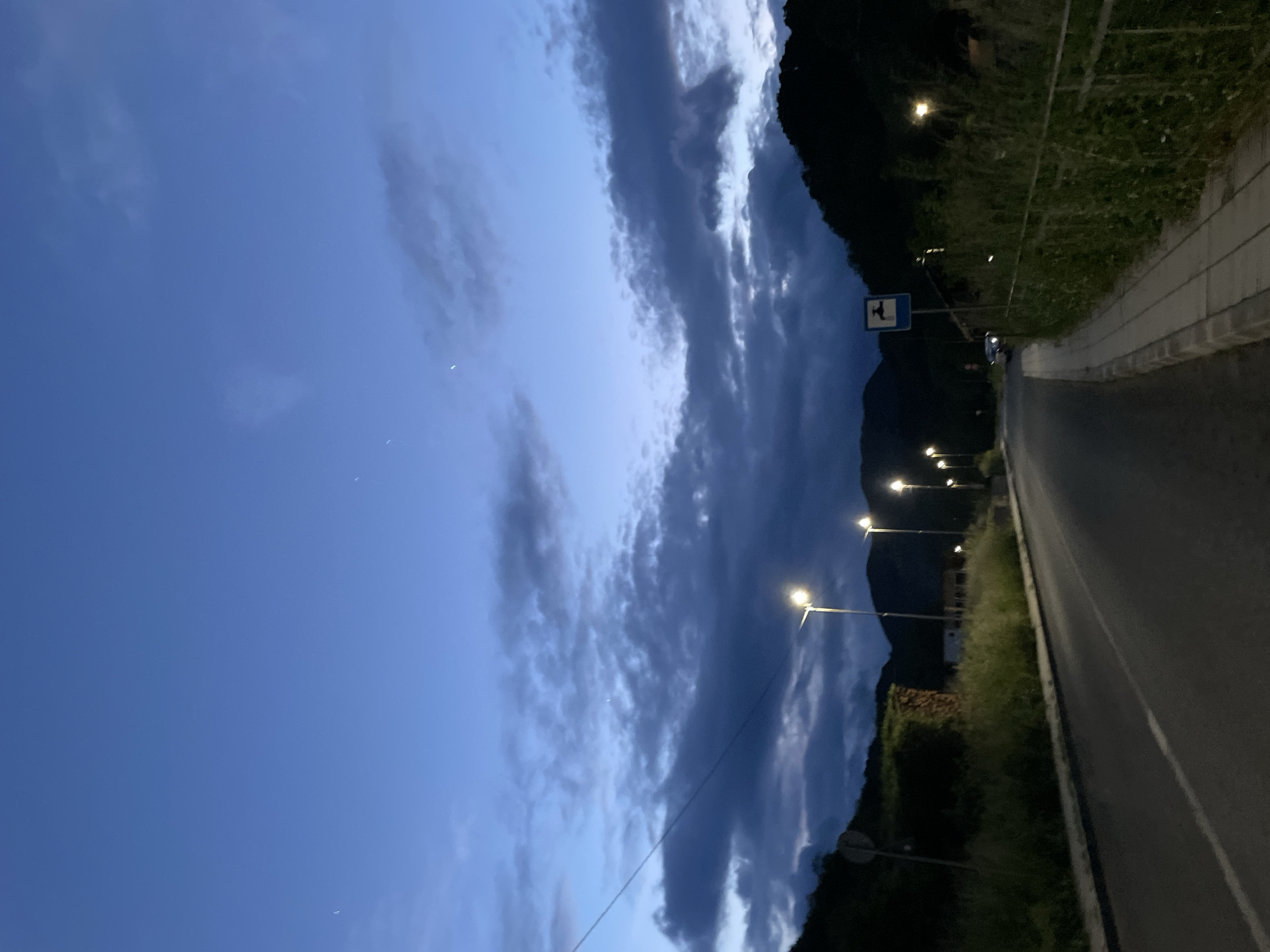Evening street scenes and toad sightings documented in Zlatograd