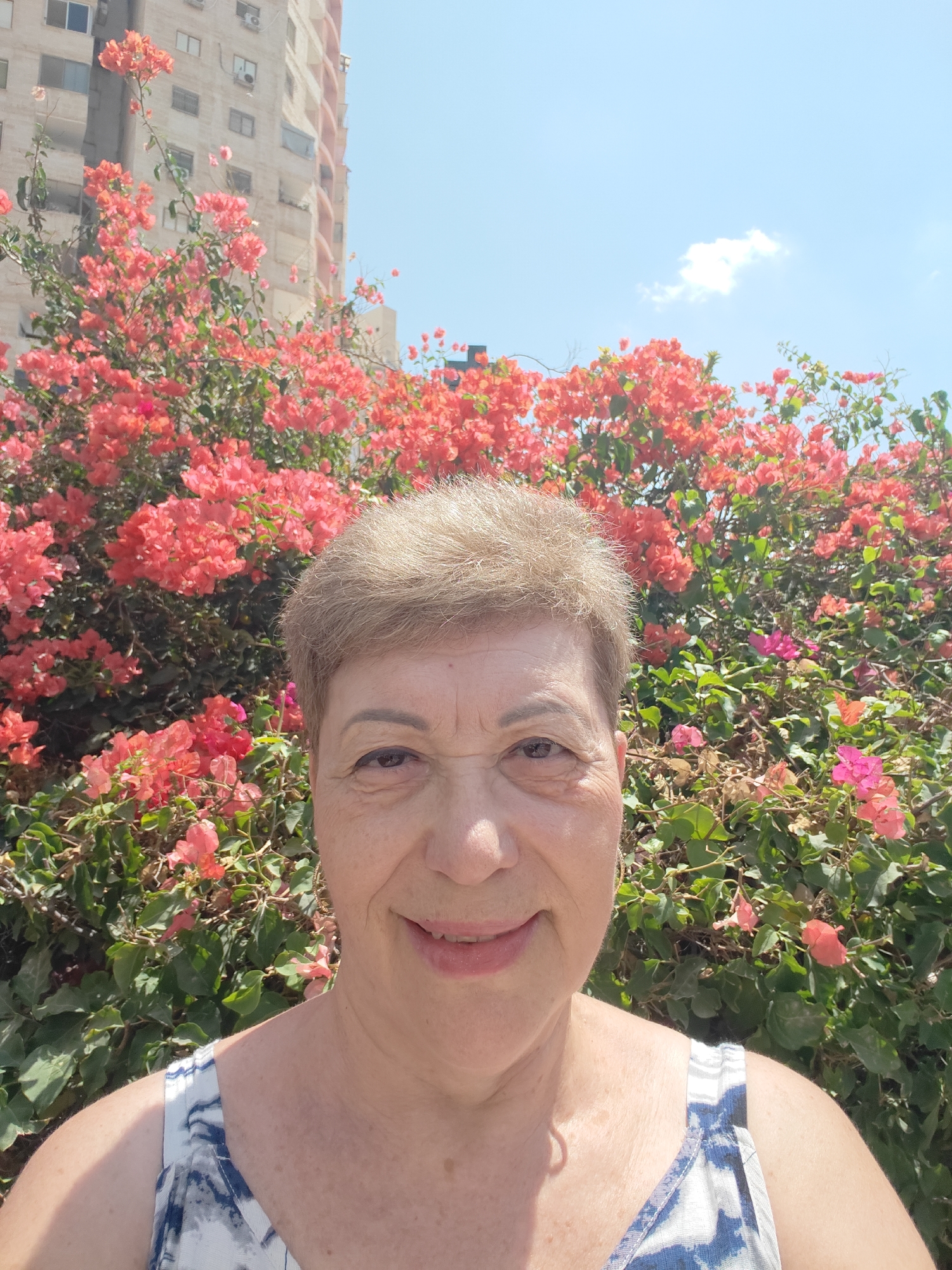 Bougainvillea stop and street scenes in Be'er Sheva