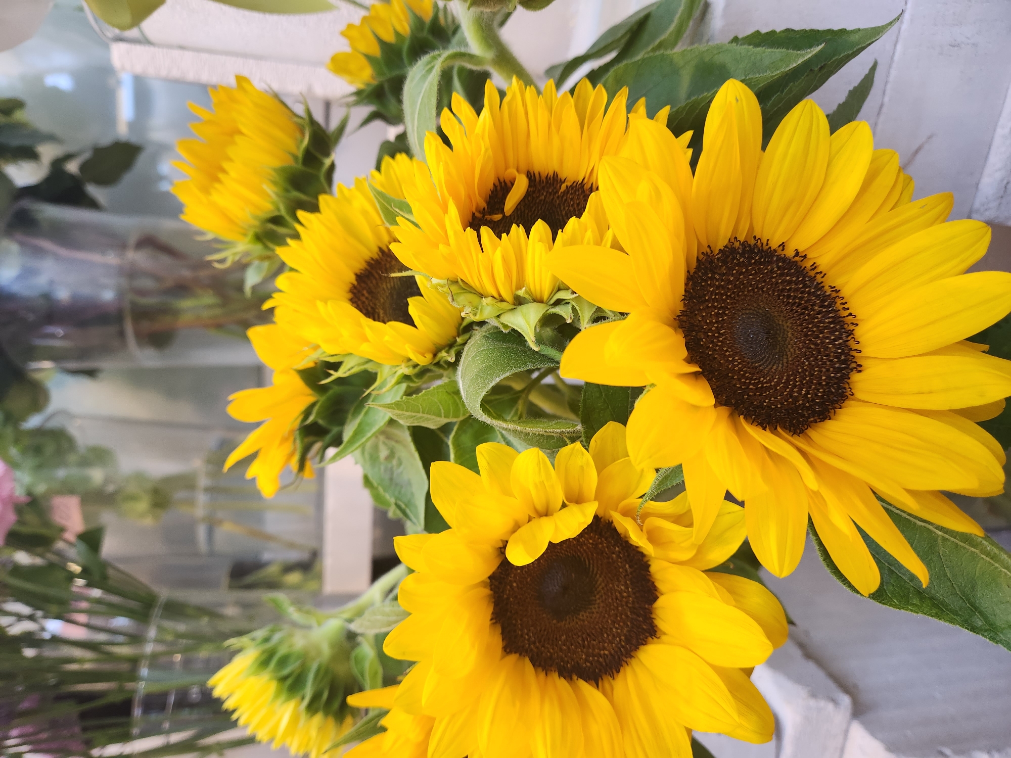 Moscow flower shop displays colorful bouquets in full bloom