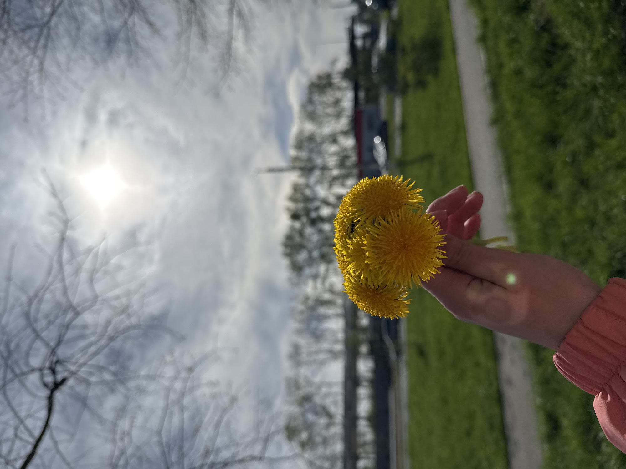 Spring Day Life Documented Across Chaikovsky Russia