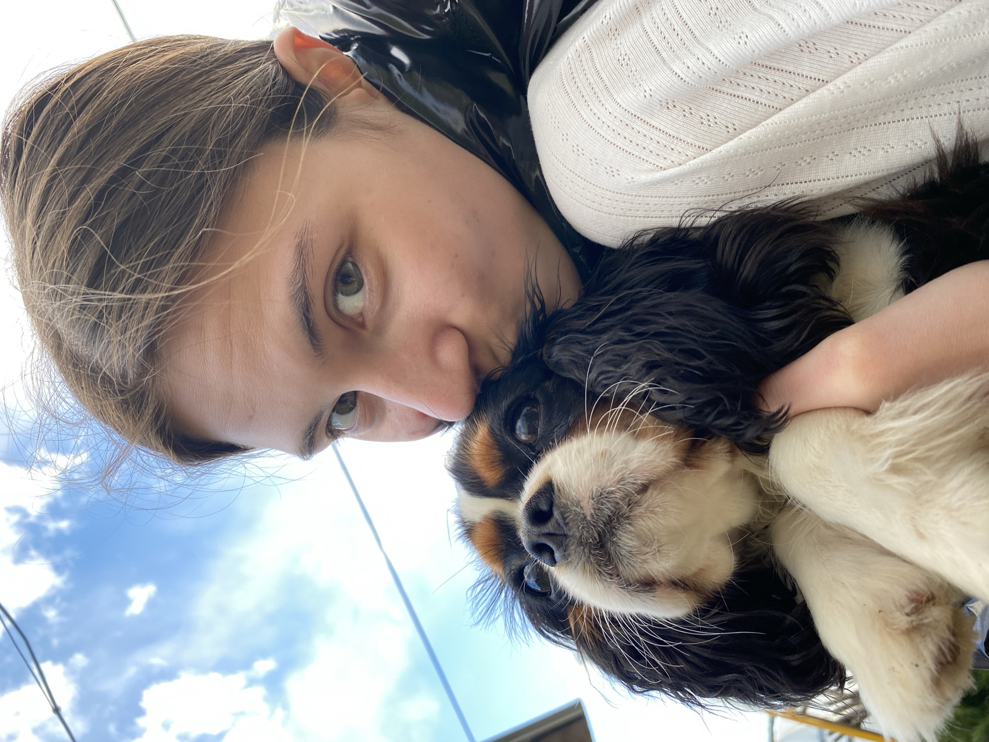 Spring garden moments with dog captured in Votkinsk