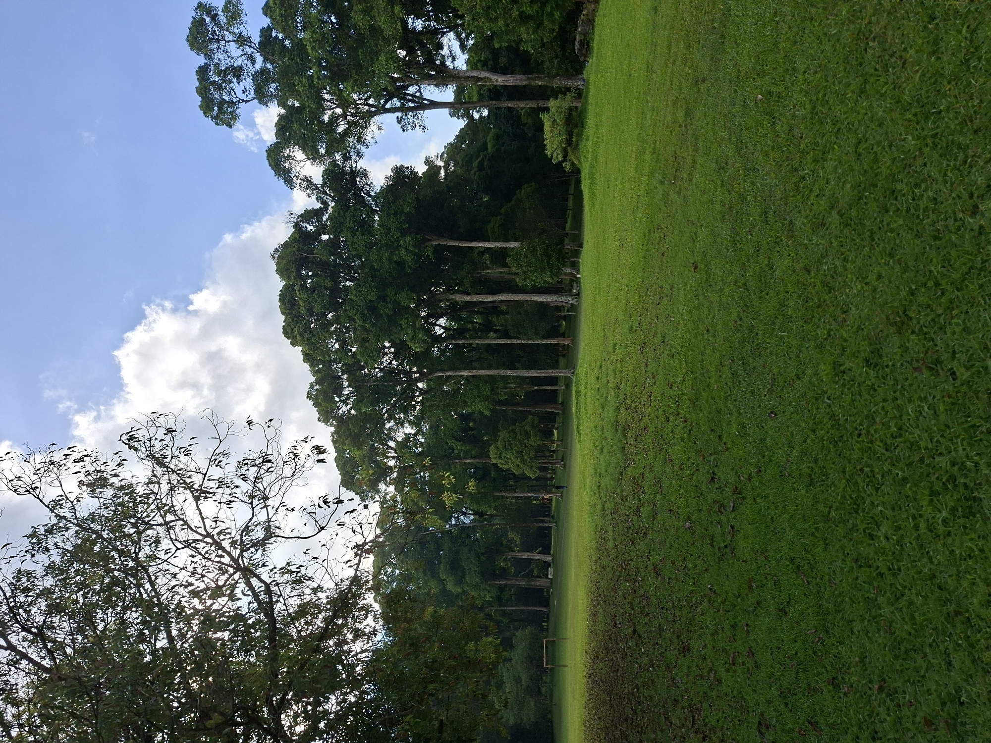 Morning stroll documented through Baturiti gardens and recreational spaces