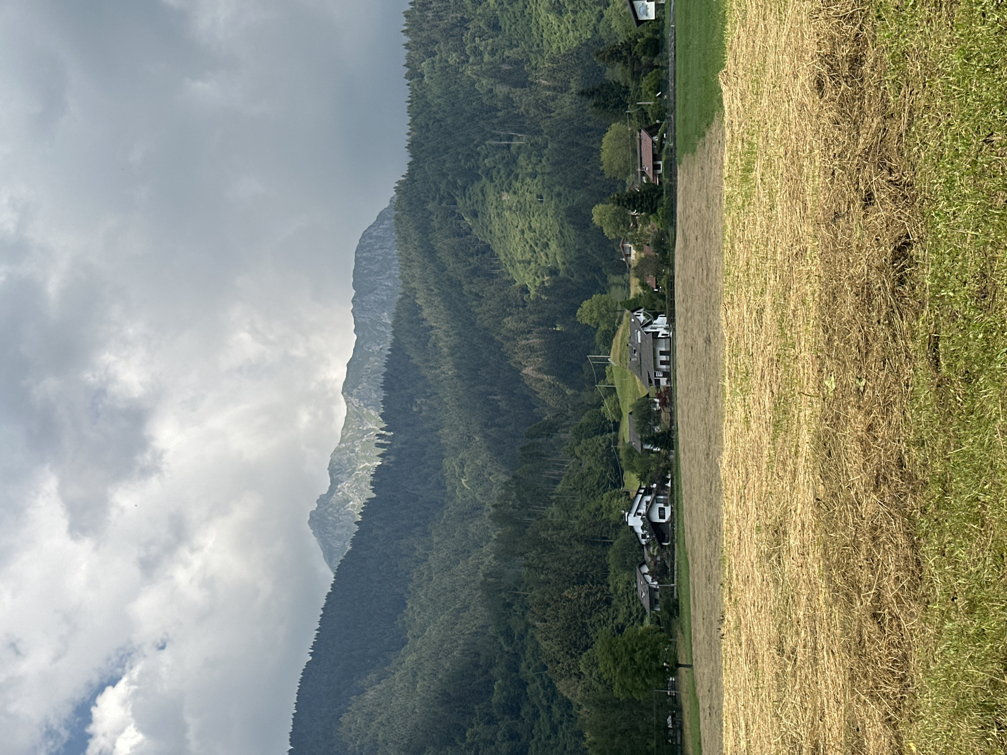 Summer meadows and hay fields in Borno, northern Italy