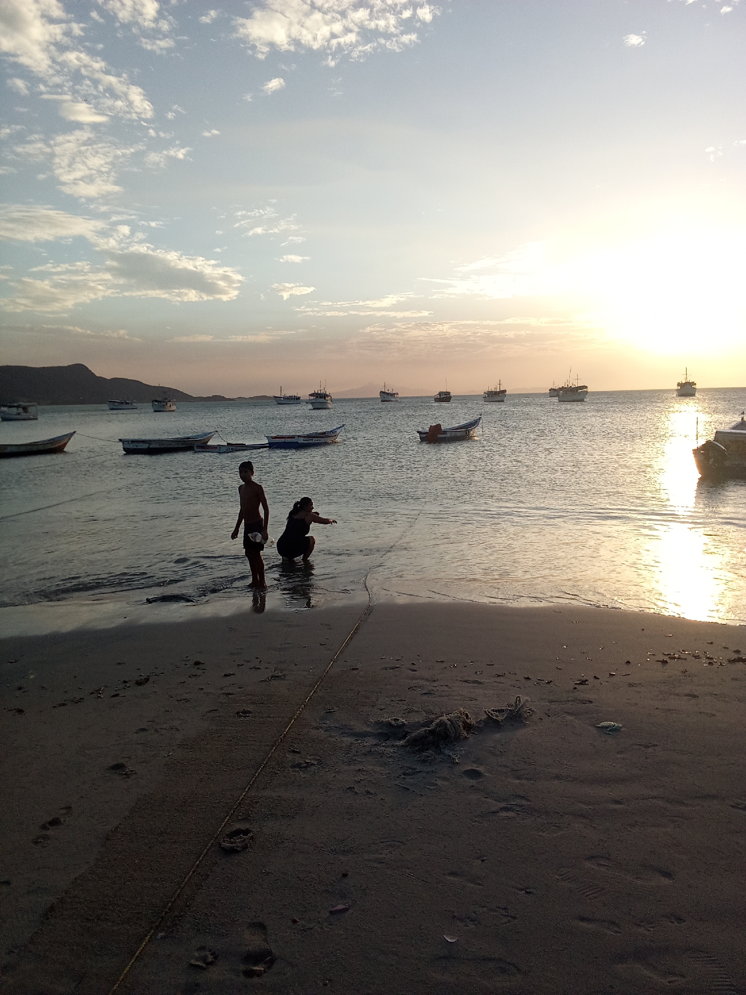 Gray heron spotted at dawn on Juan Griego beach