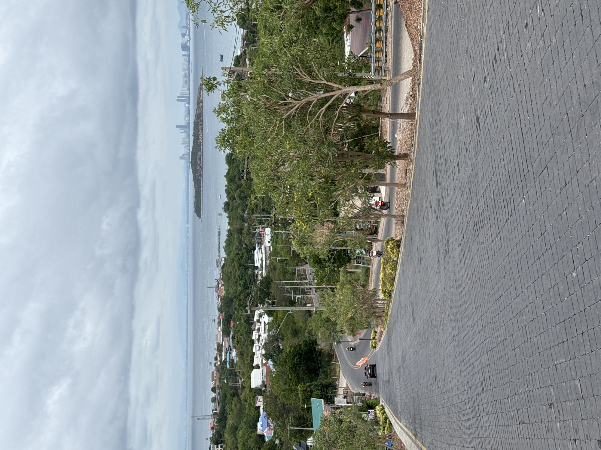 Road view captures Pattaya coastline and skyline scene
