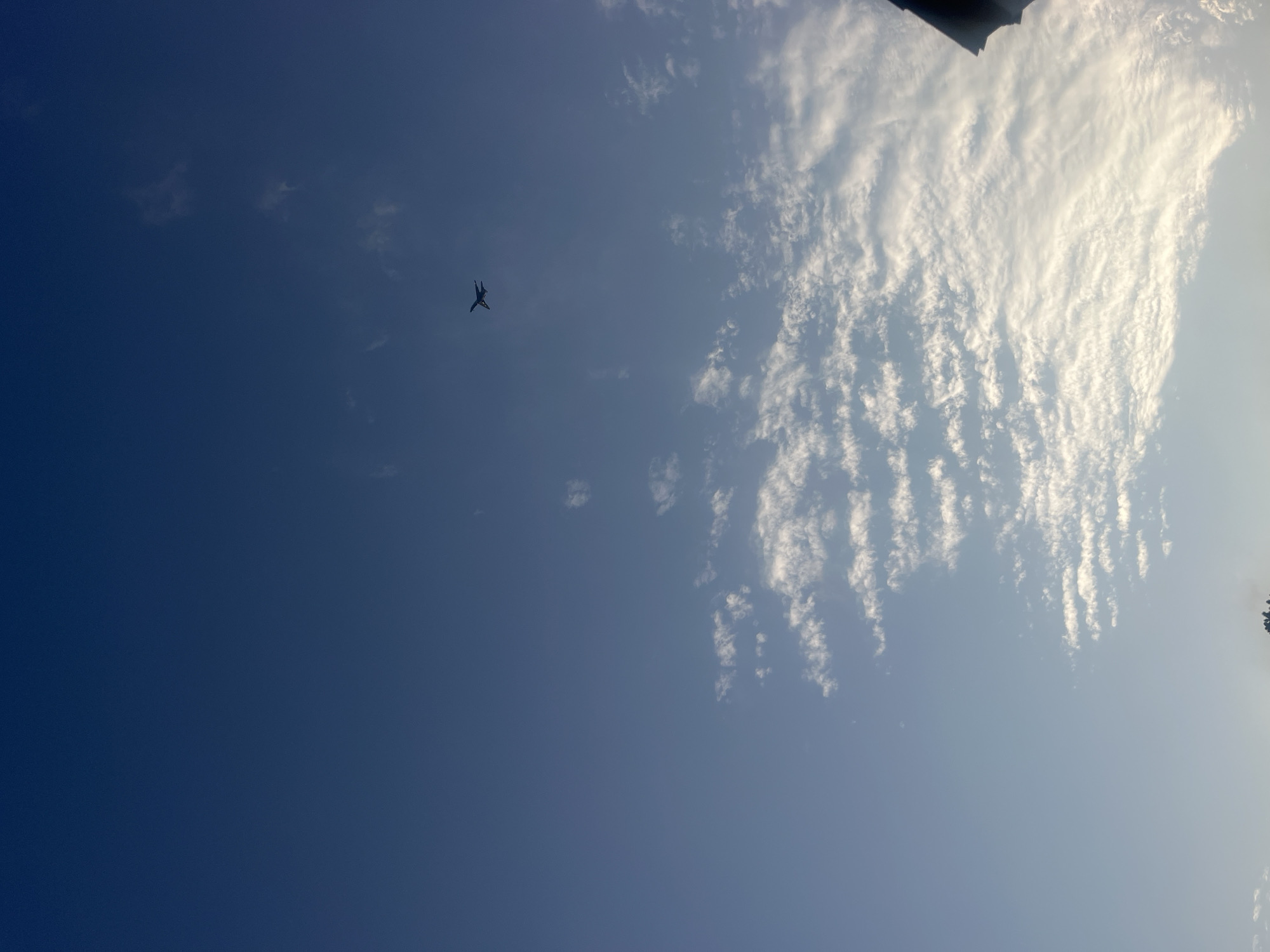 Jacksonville front yard landscaping with a plane passing overhead