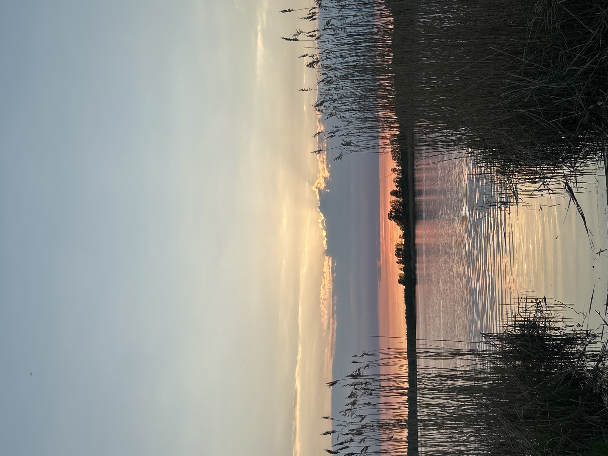 Evening lakeside walk documented in Saint Petersburg park area