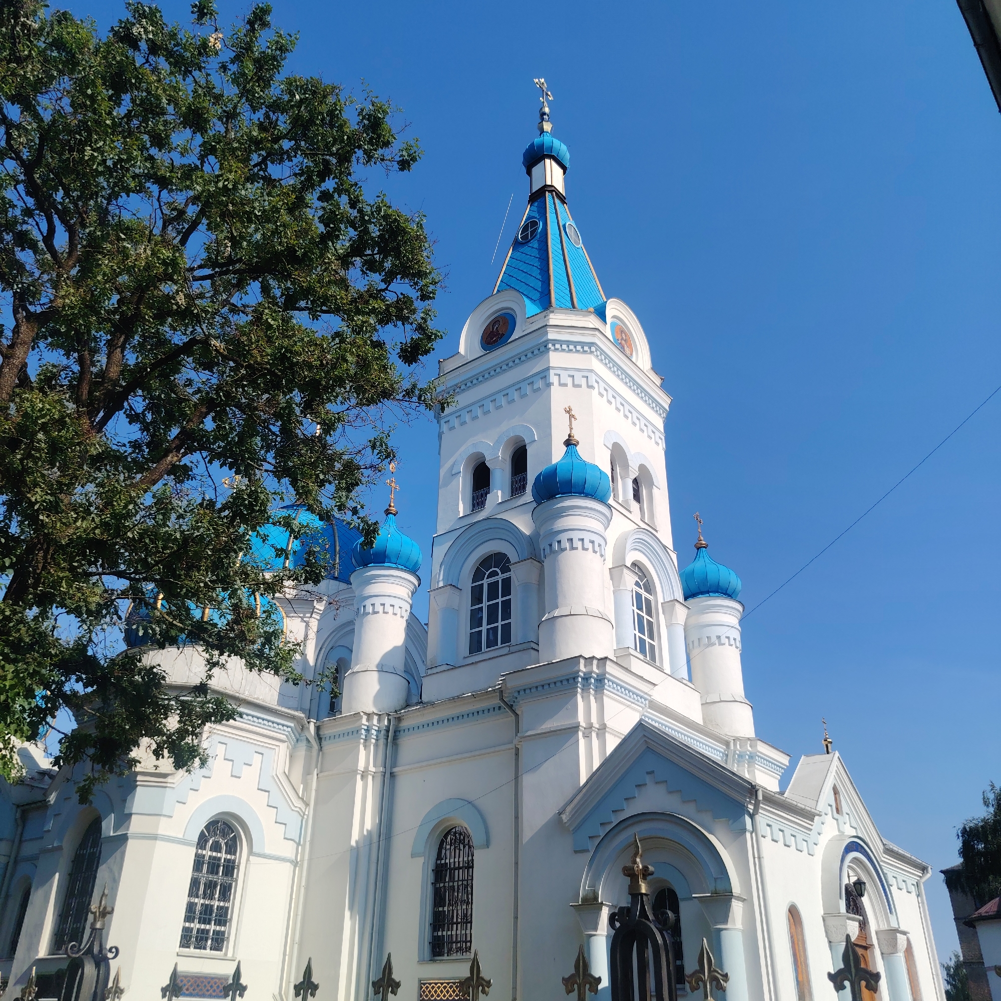 Jelgava's historic churches and palace buildings on a sunny afternoon.