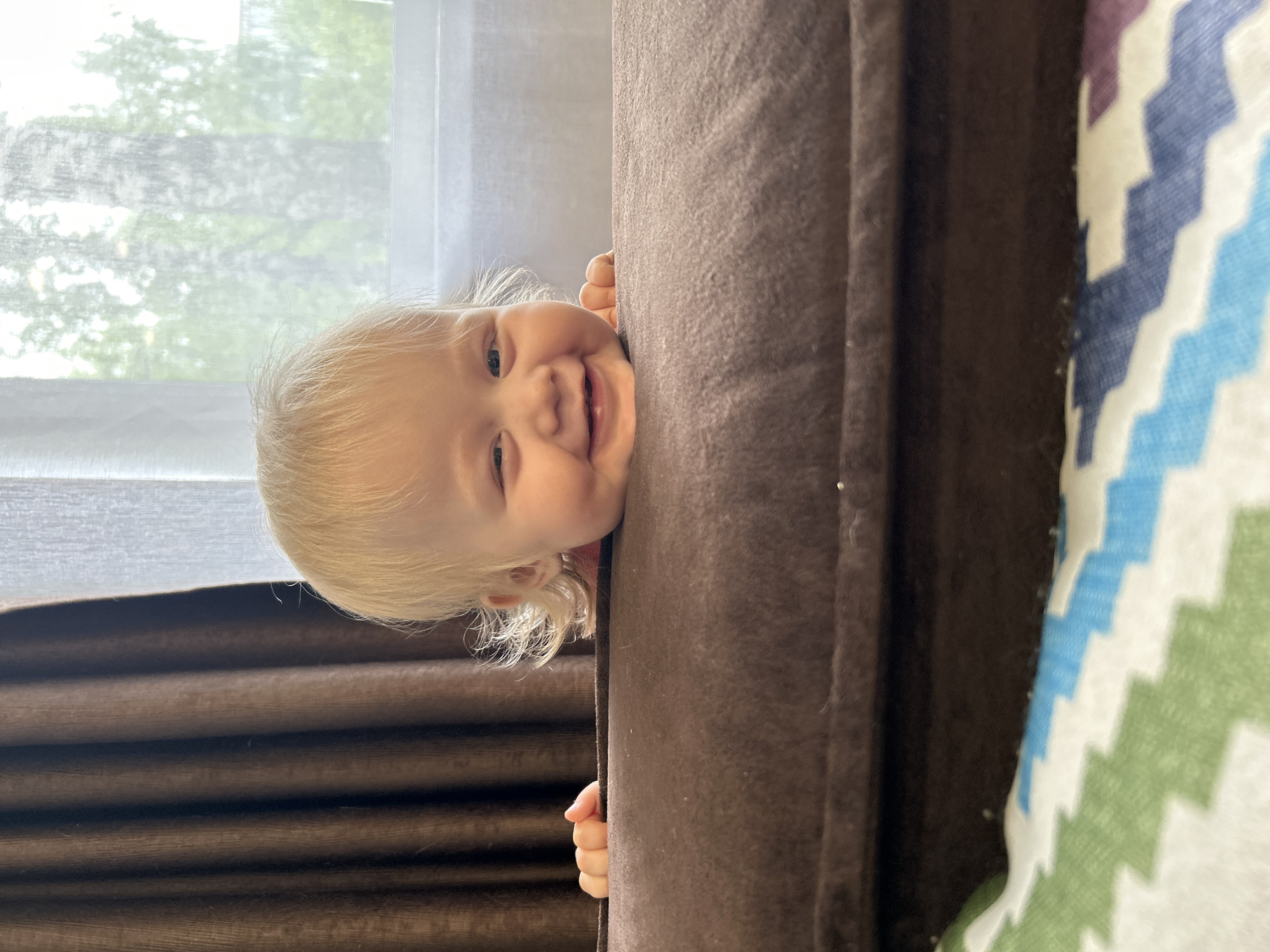 Domestic moments: toddler, pacifier display, small dog documented