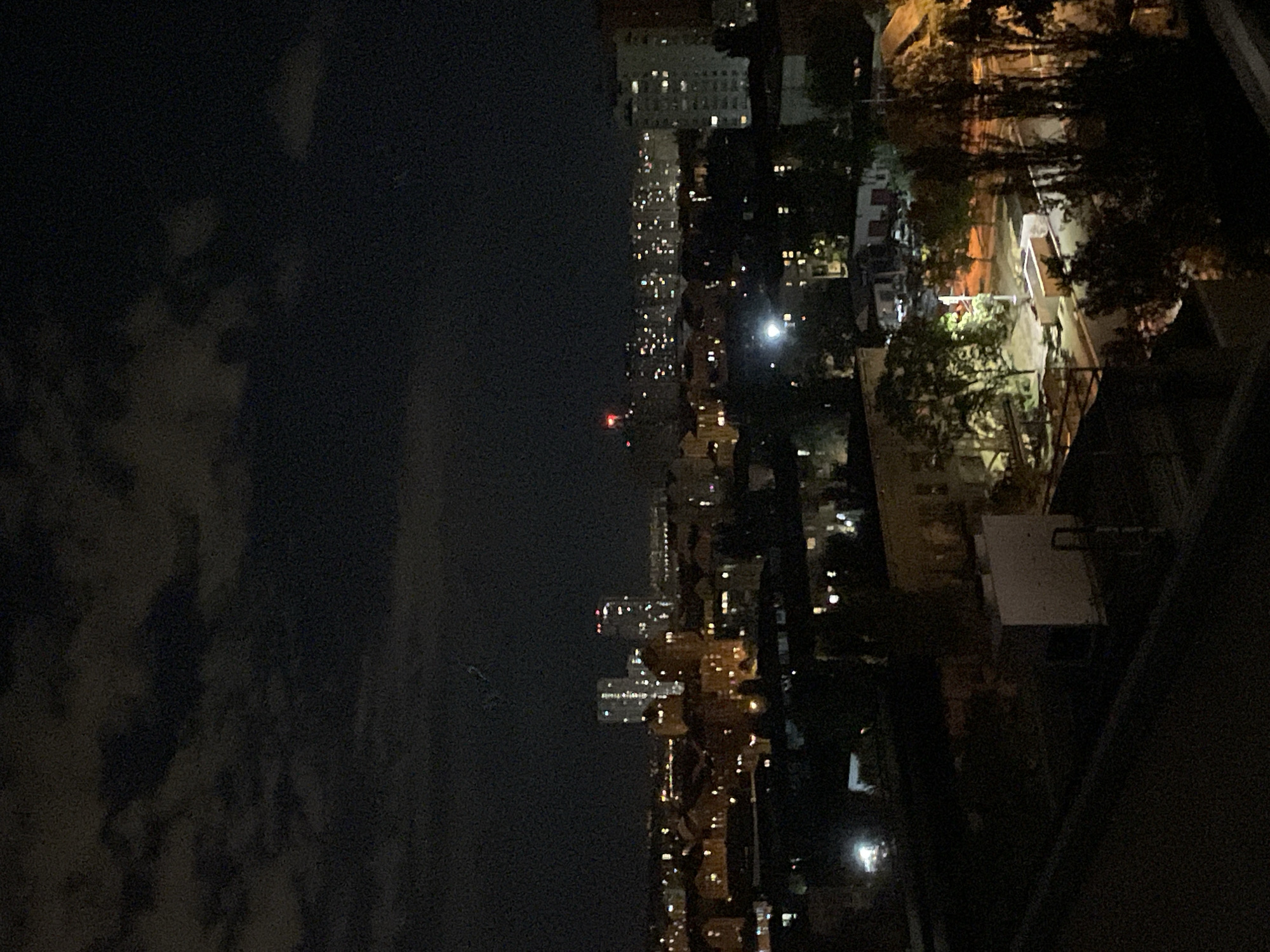 Poodle plays in a Kyiv apartment on a June night