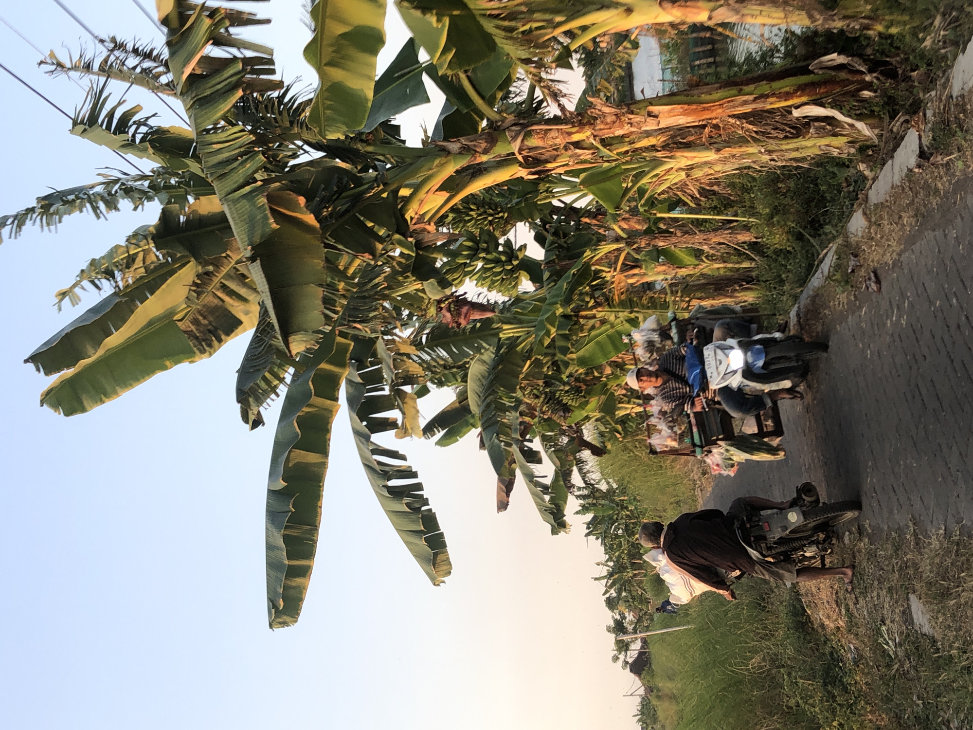 Rural roads and waterways in Plumbon, East Java