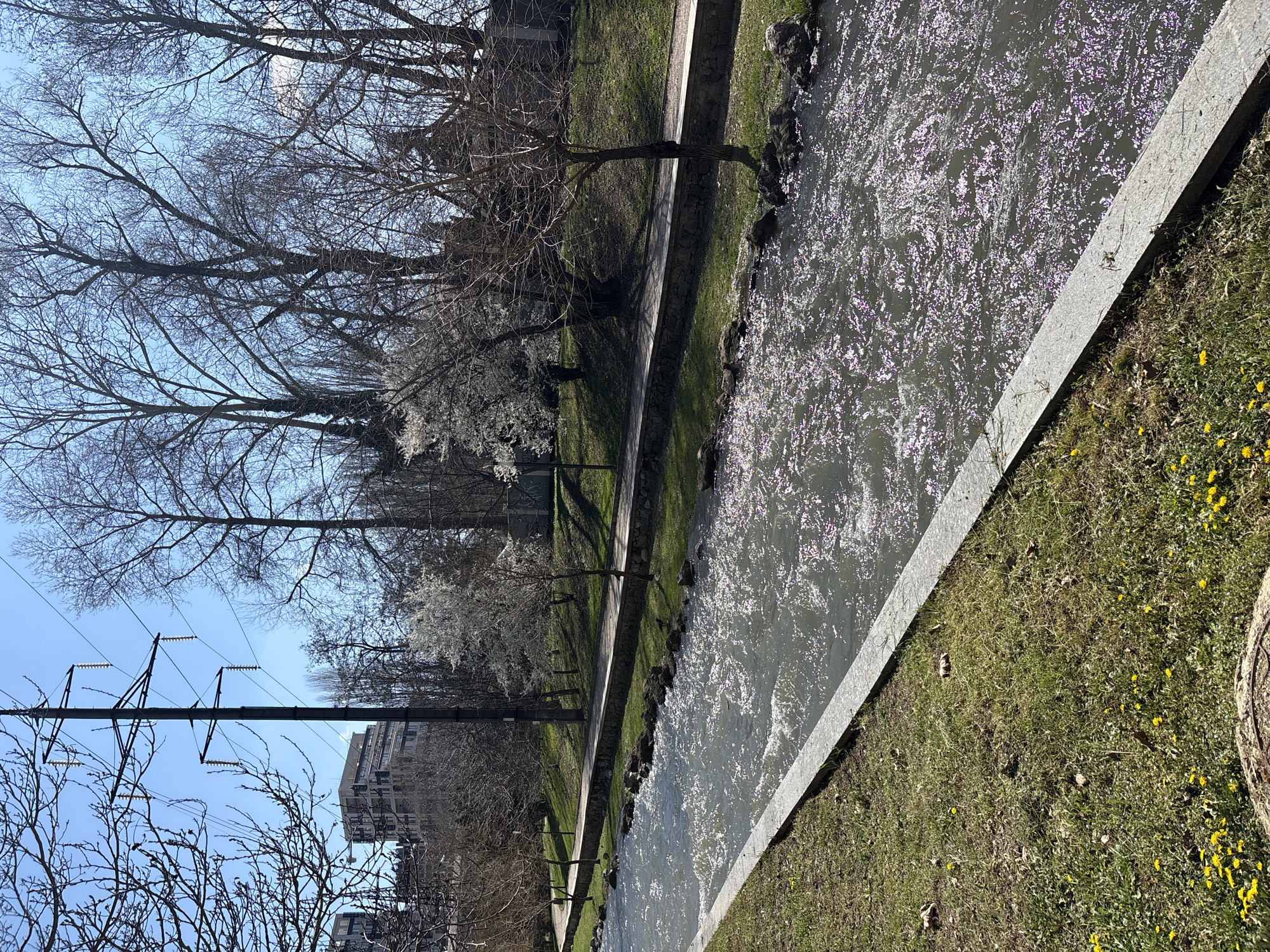 Spring morning walk documented along Salgir River in Simferopol