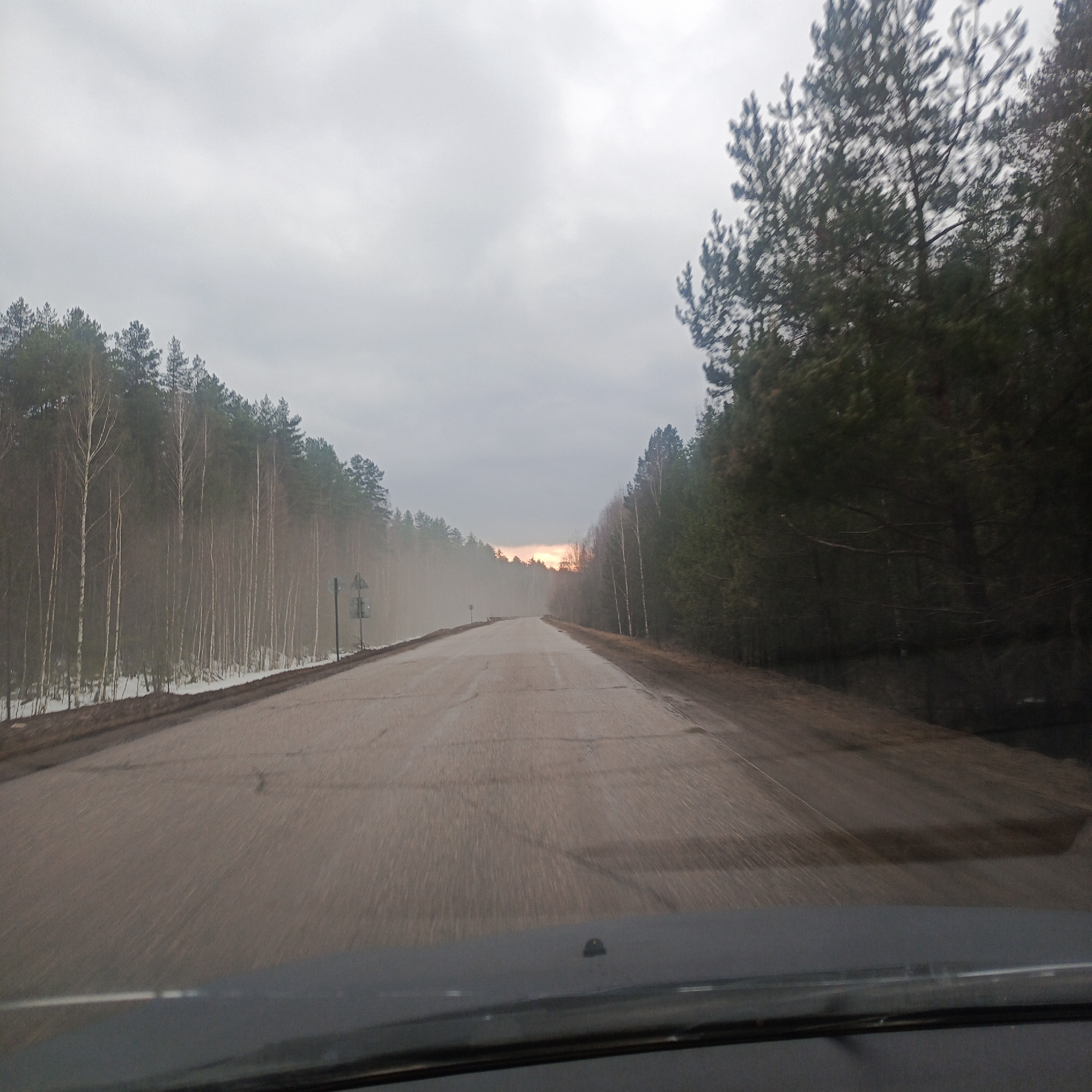 Forest road documented in Dubovaya, Russia under gray skies