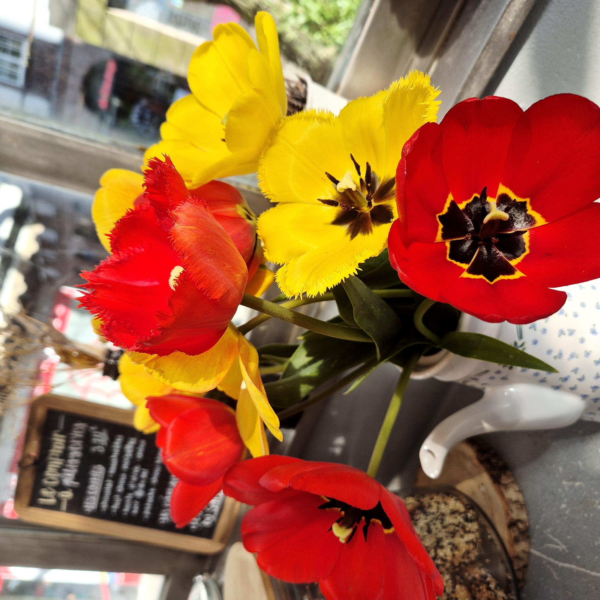 Tulip arrangement photographed in Strasbourg